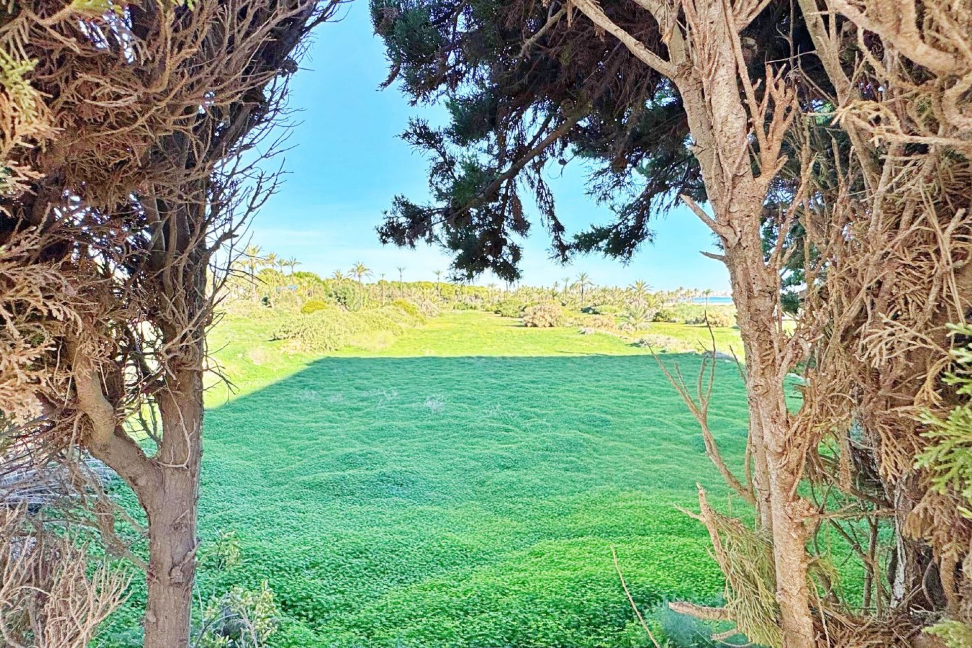 Reventa - Apartment -
Torrevieja - Rocio del mar