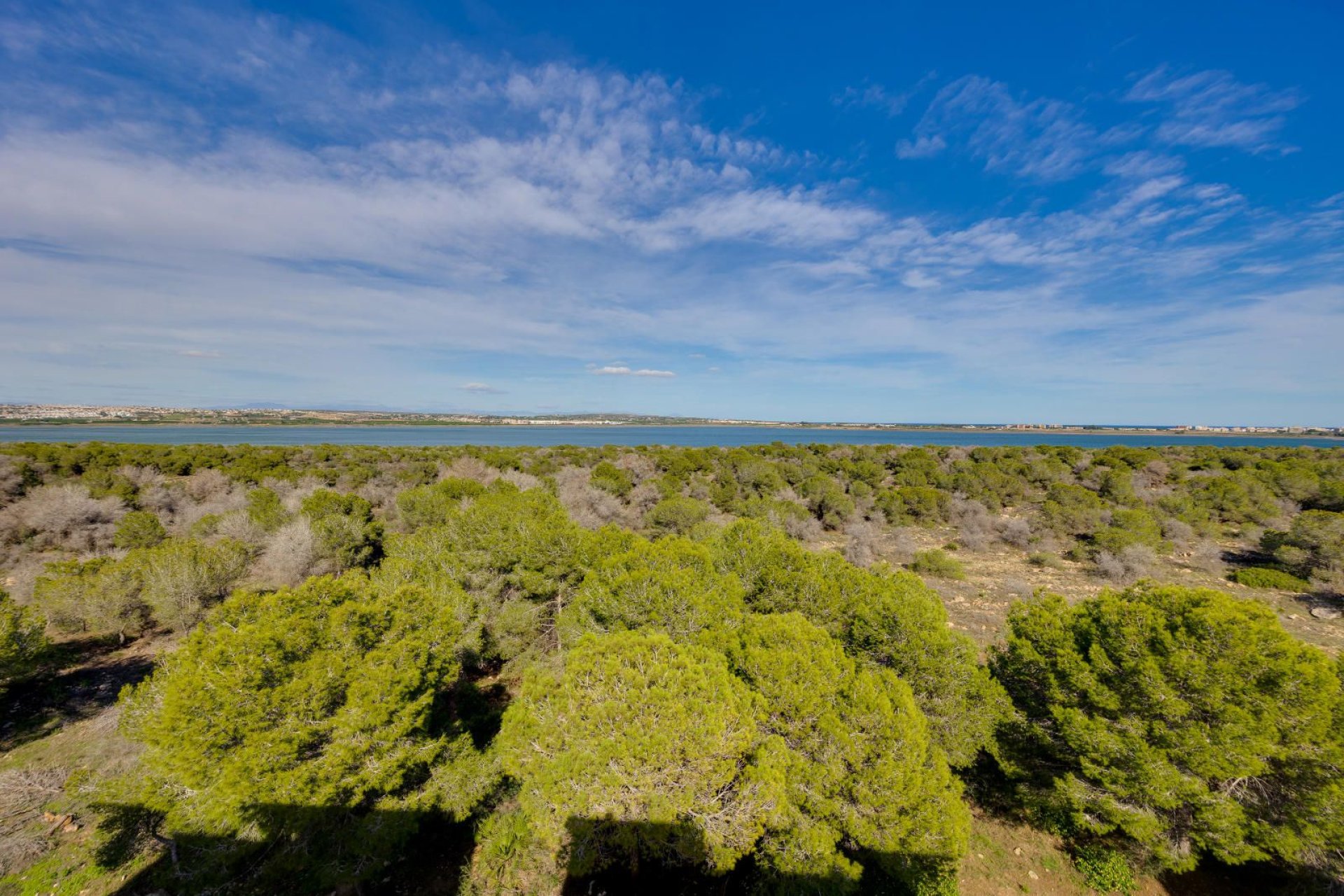 Reventa - Apartment -
Torrevieja - San luis