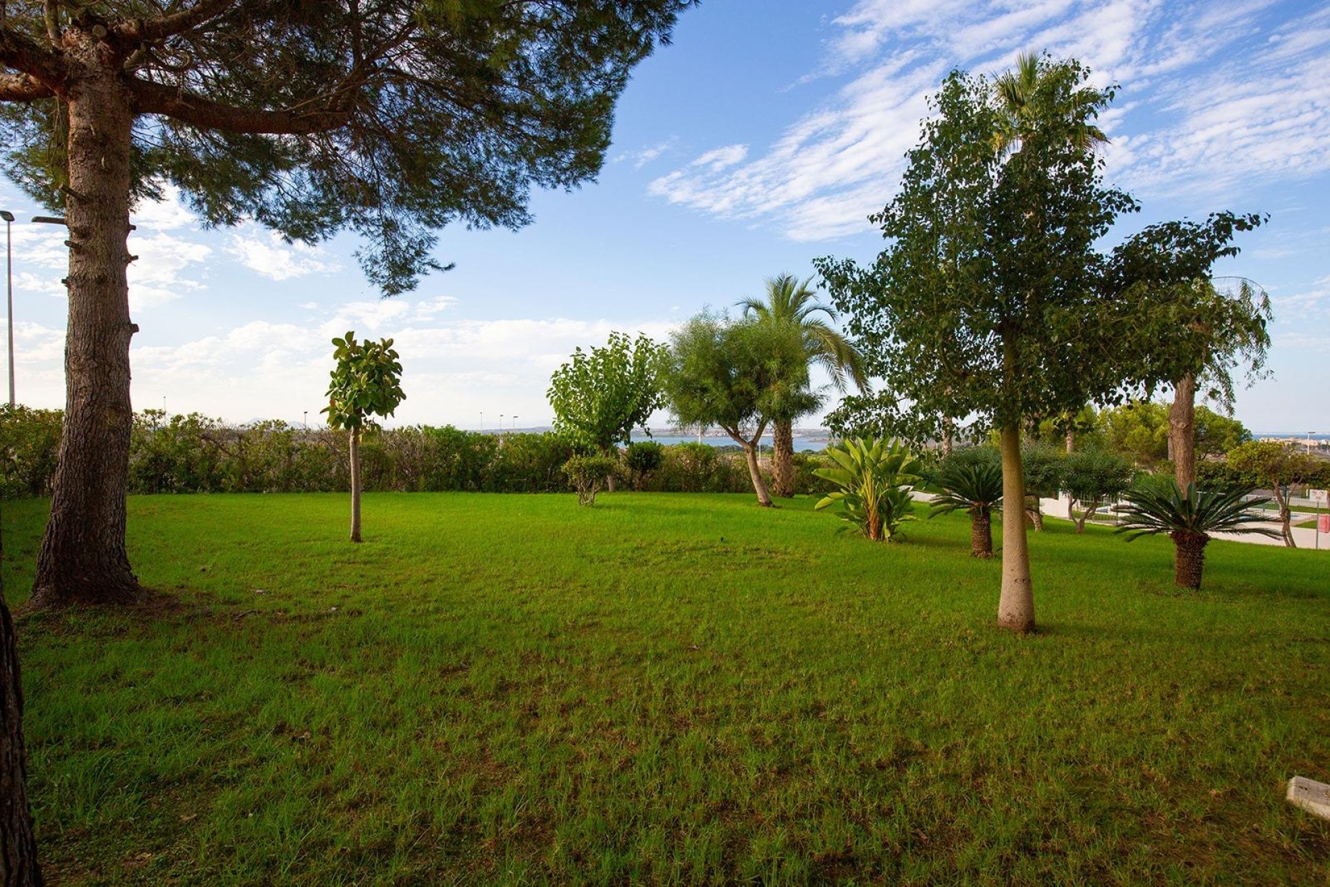 Reventa - Apartment -
Torrevieja - Torreblanca