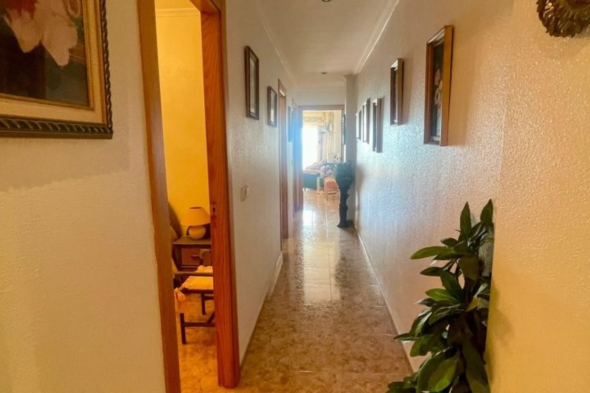 Reventa - Apartment -
Torrevieja