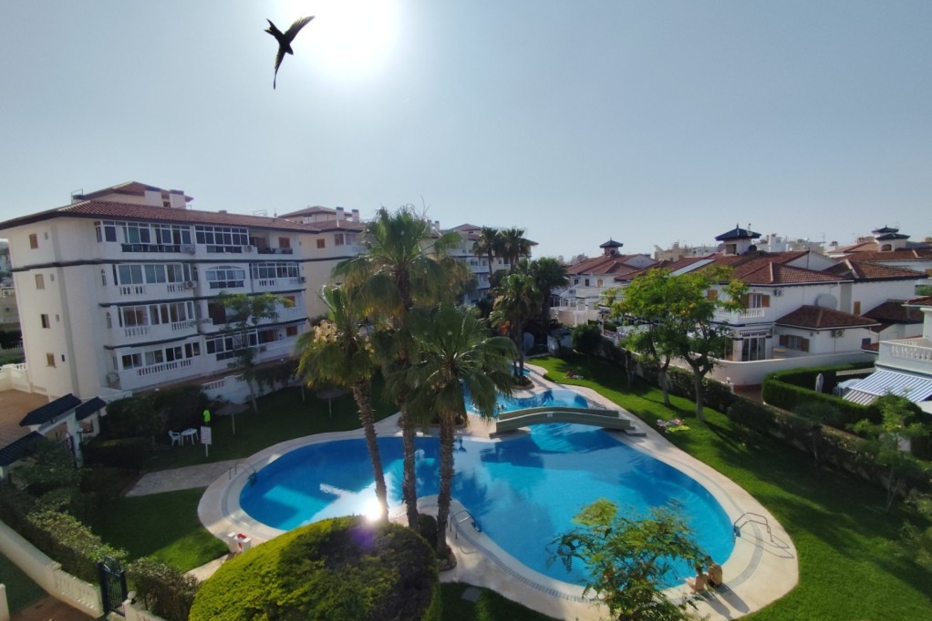 Reventa - Apartment -
Torrevieja