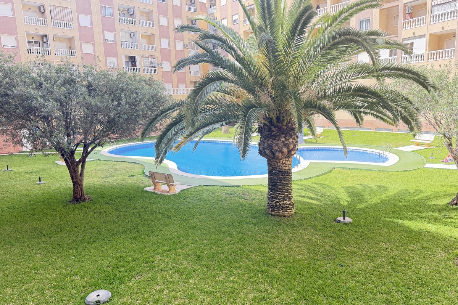 Reventa - Apartment -
Torrevieja
