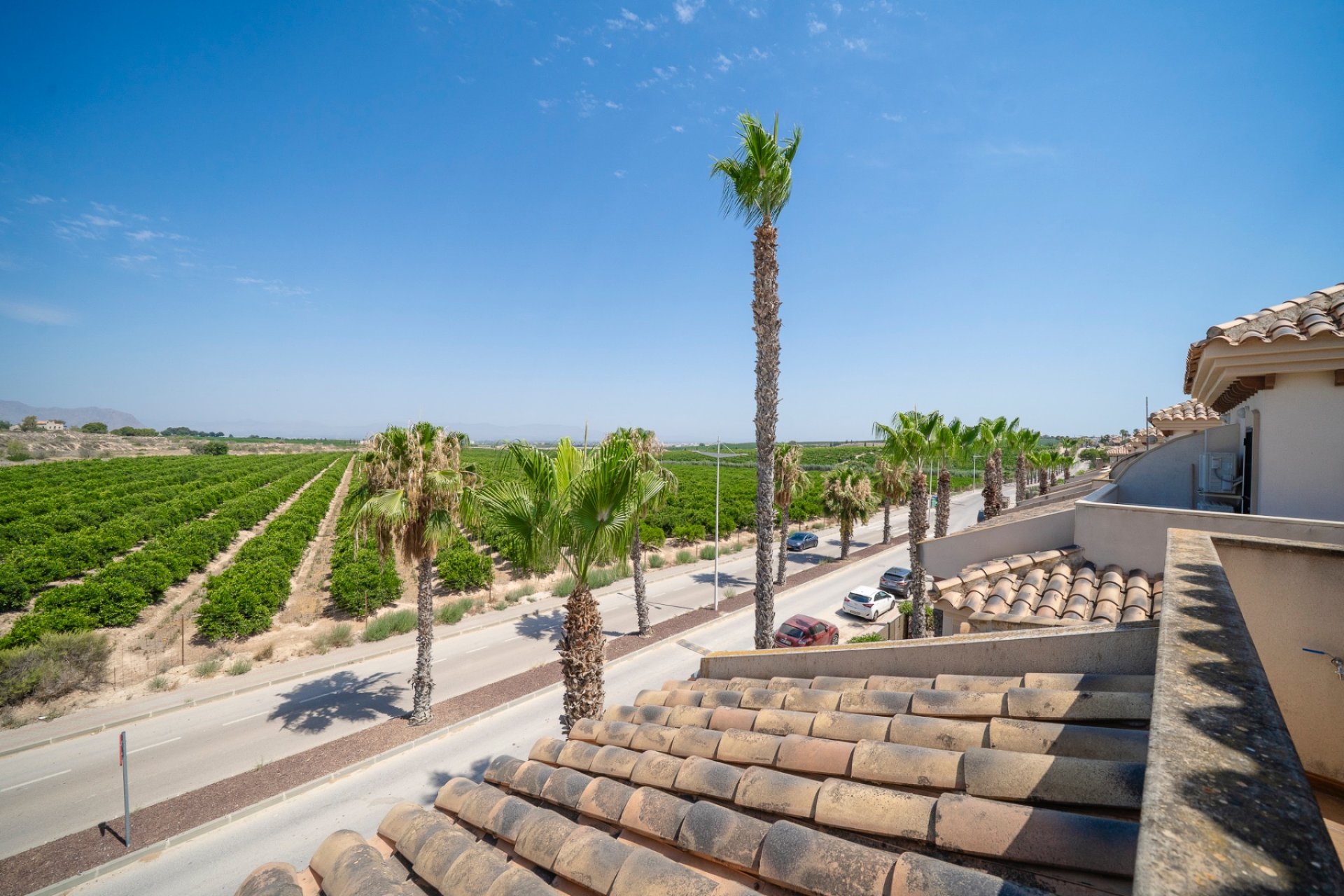 Reventa - Bungalow -
Algorfa