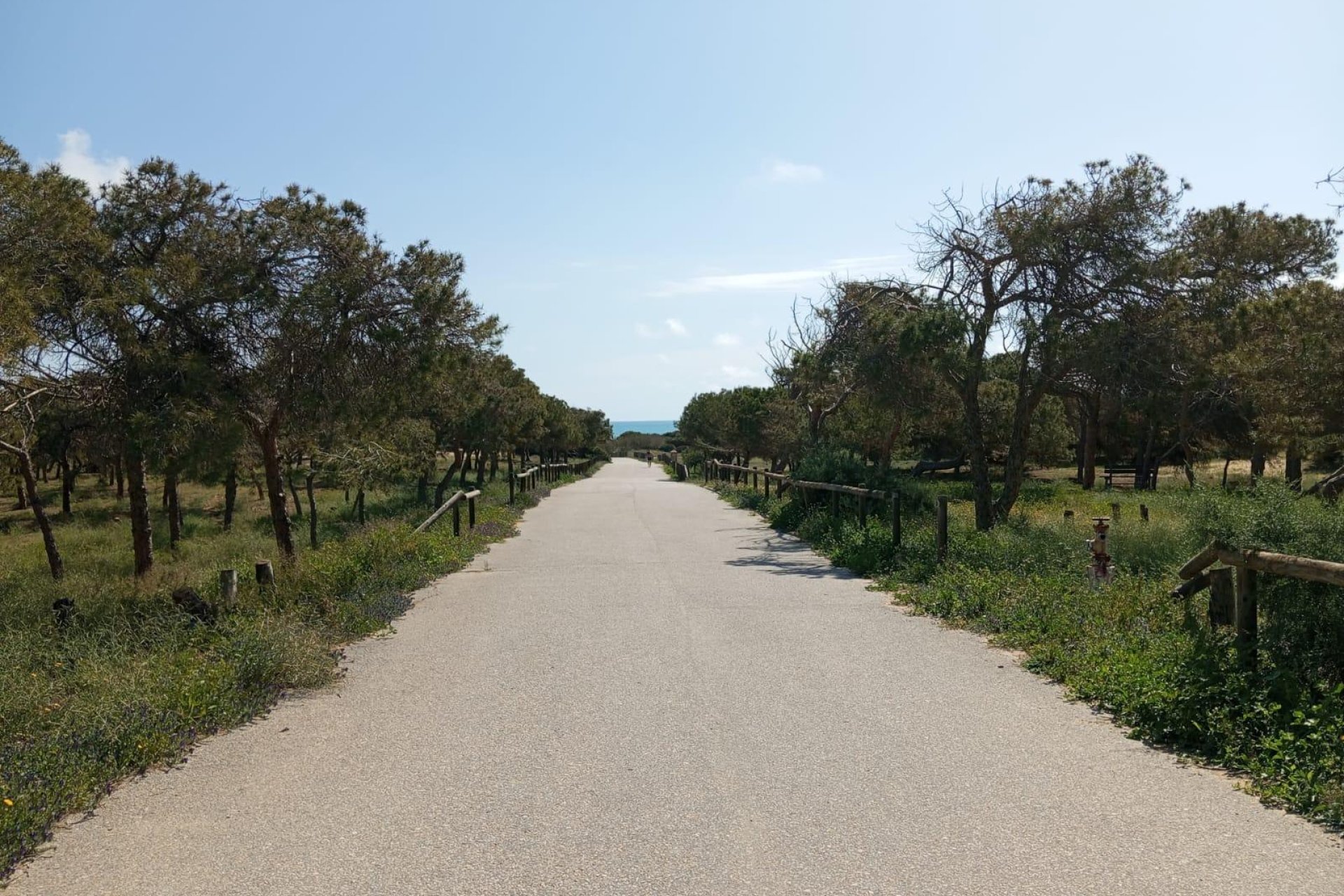 Reventa - Bungalow -
Guardamar del Segura - Urbanizaciones