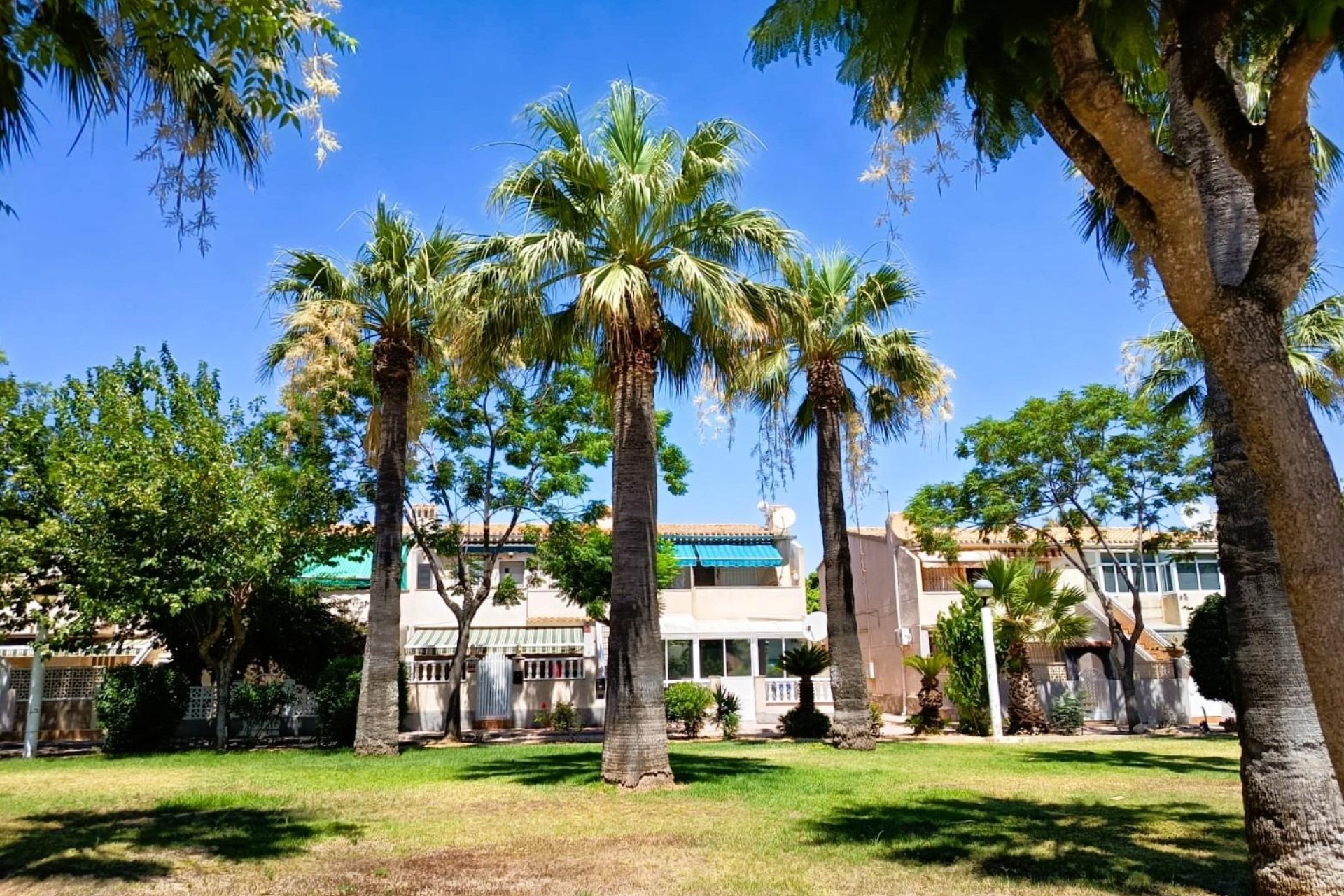 Reventa - Bungalow -
Orihuela Costa - La Regia