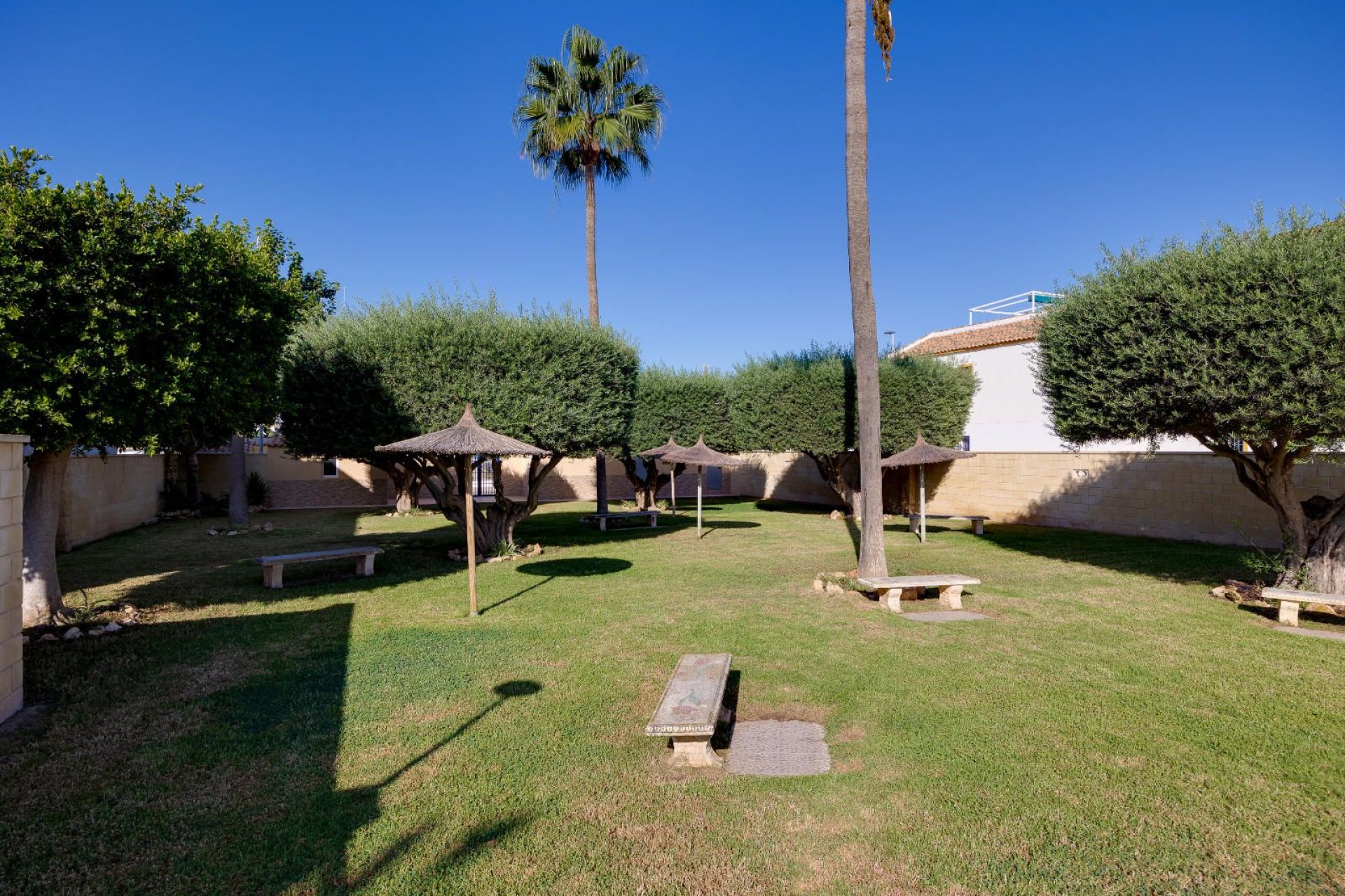 Reventa - Bungalow -
Torrevieja - Carrefour