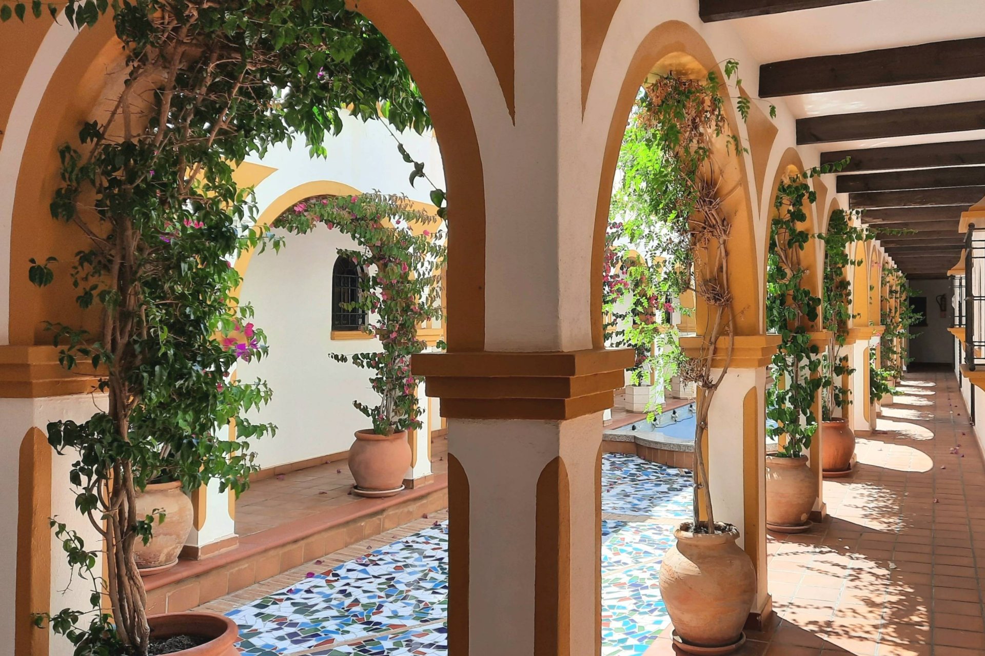 Reventa - Bungalow -
Torrevieja - La Mata