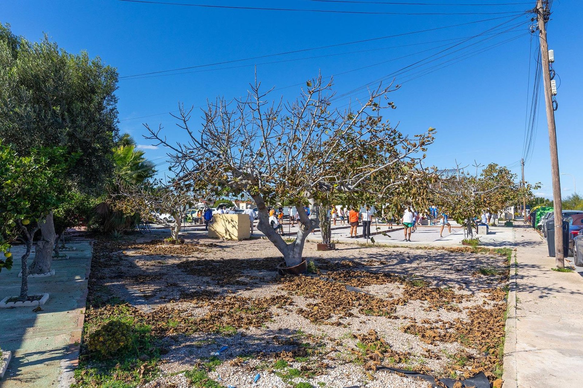 Reventa - Bungalow -
Torrevieja - La Siesta - El Salado - Torreta