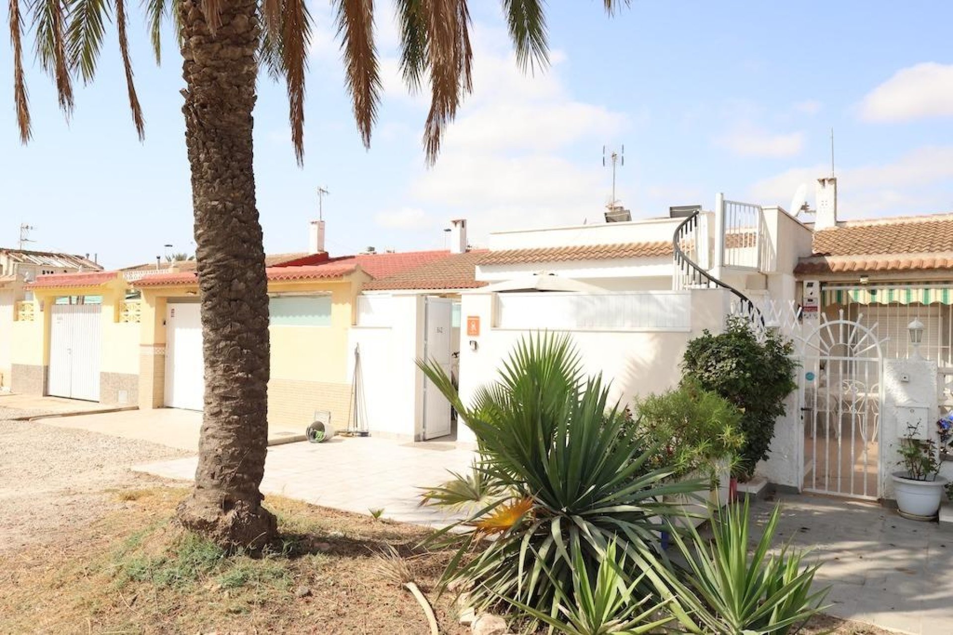 Reventa - Bungalow -
Torrevieja - La Siesta - El Salado - Torreta