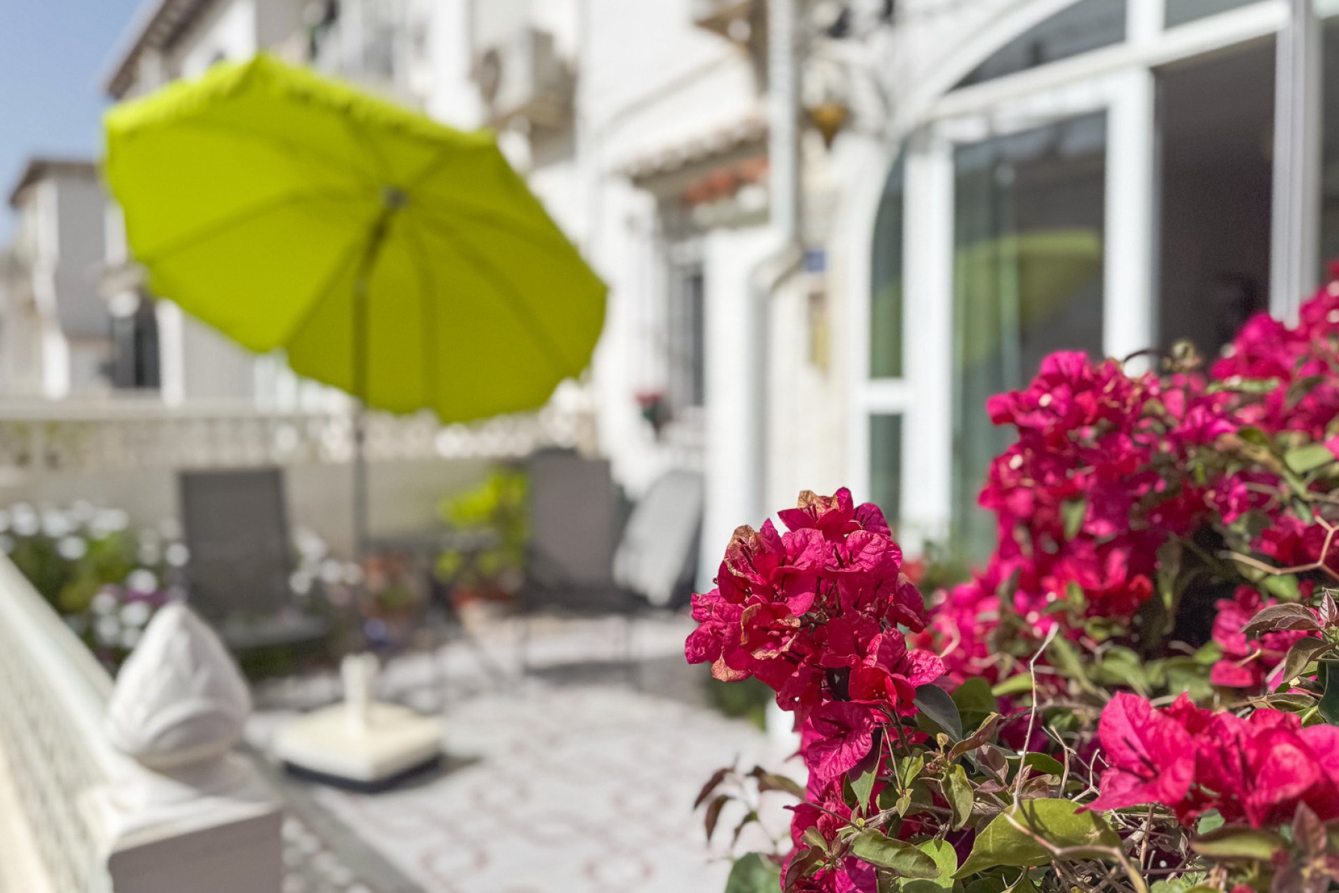 Reventa - Bungalow -
Torrevieja - Lago jardin