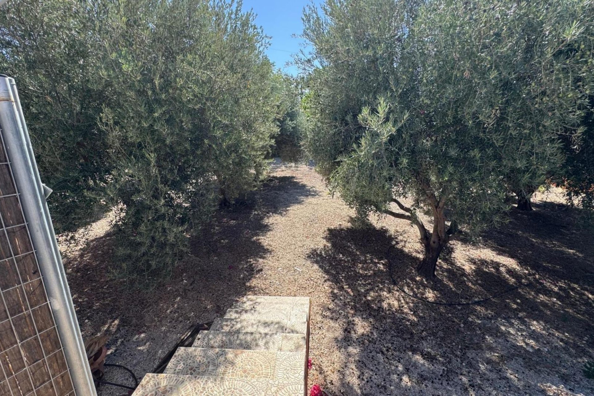 Reventa - Casa de campo -
Albatera - BARRANCO SAN CAYETANO