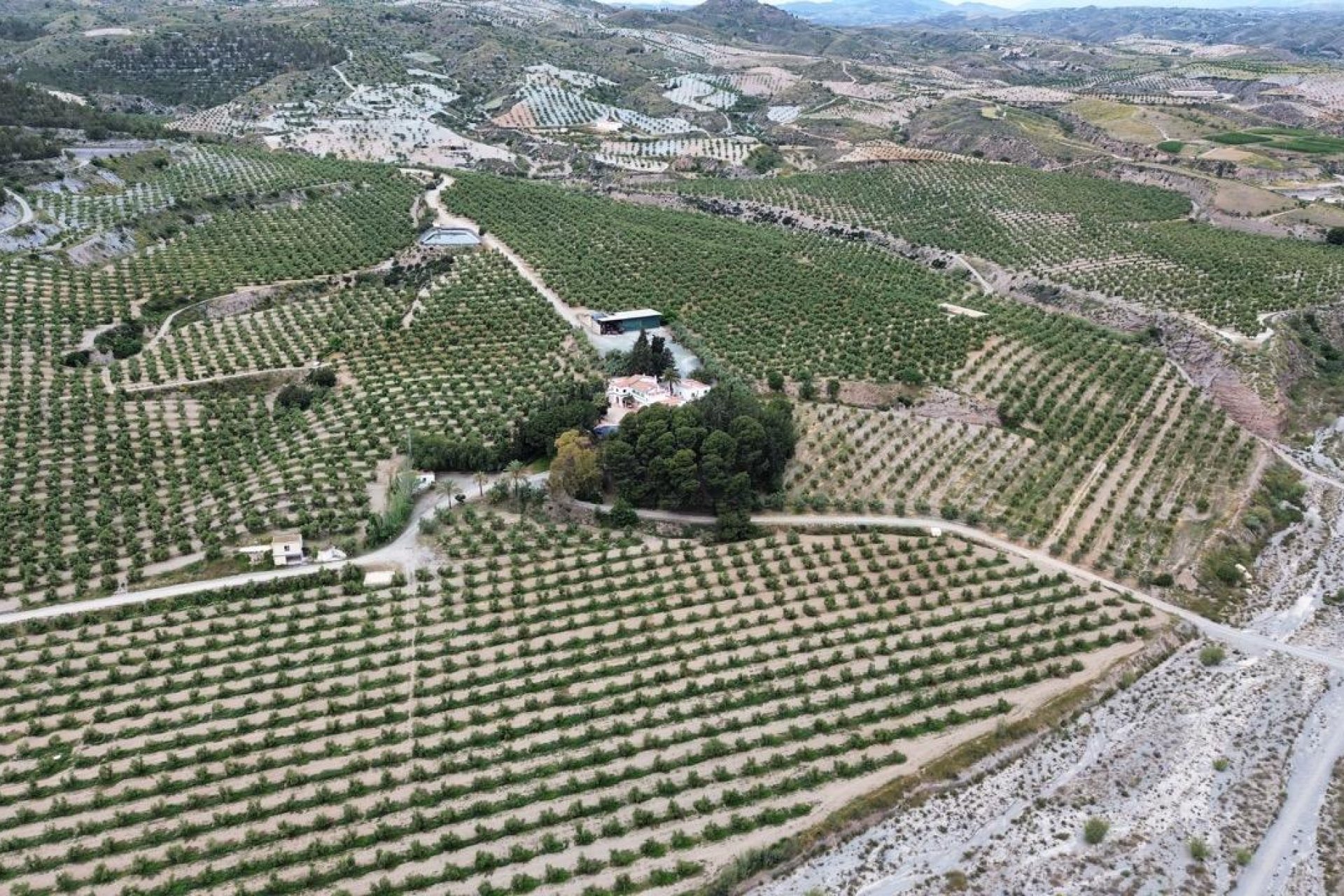 Reventa - Commercial Unit -
Murcia - Rincón de Seca