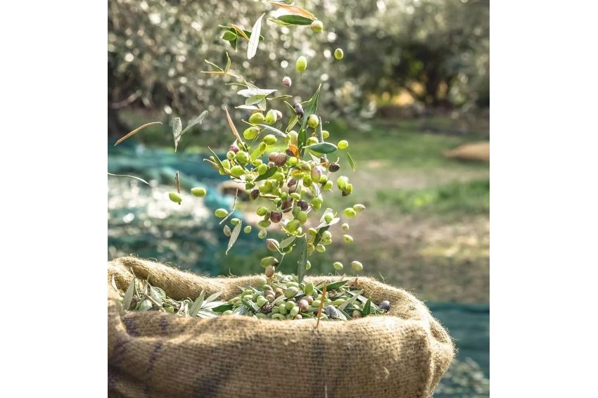 Reventa - Commercial Unit -
Puerto Lumbreras - Nogalte