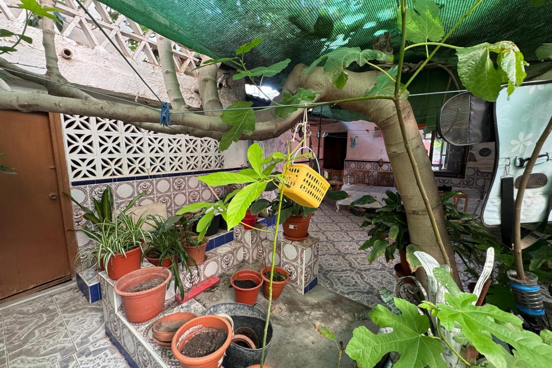 Reventa - Detached villa -
Benejúzar