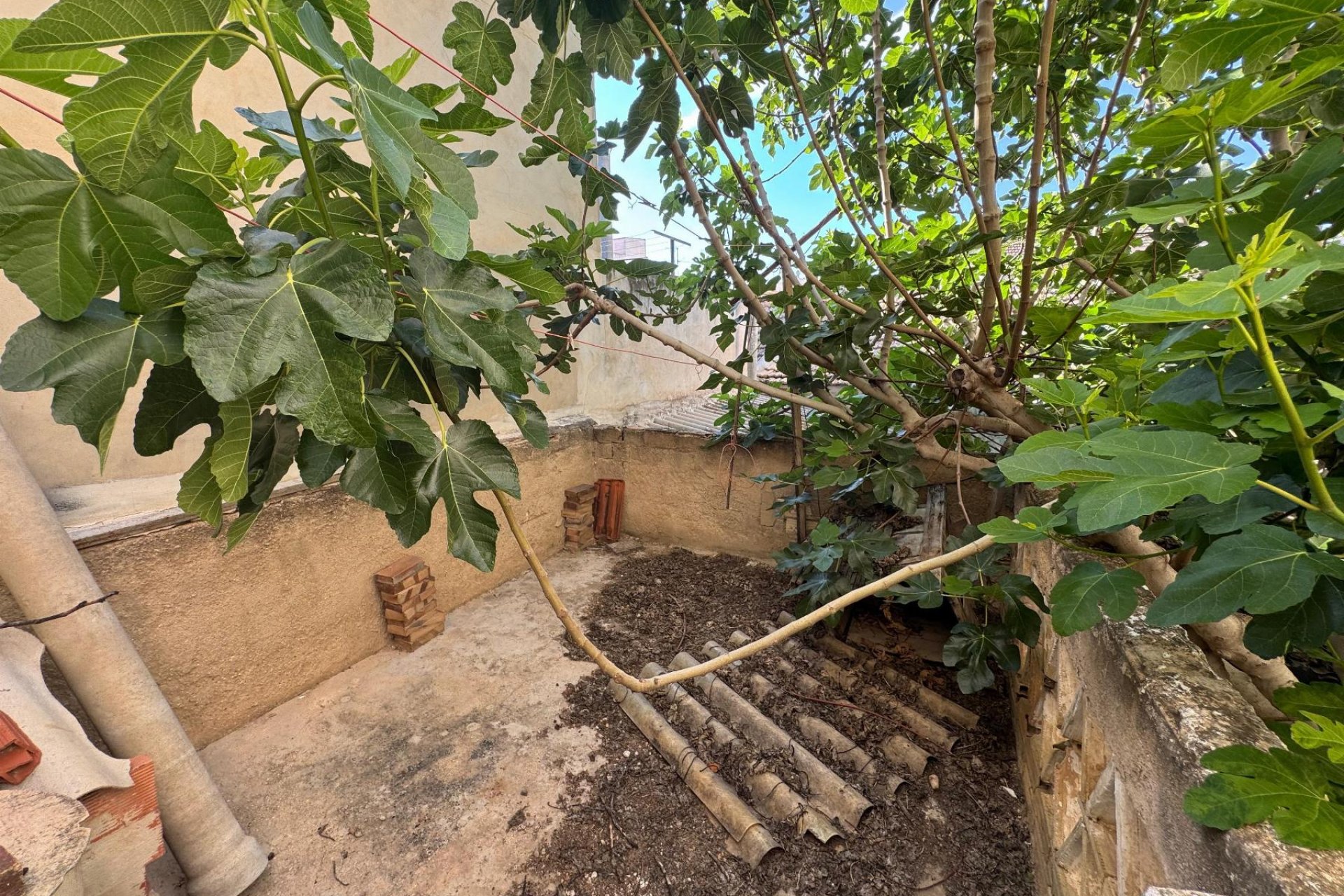 Reventa - Detached villa -
Benejúzar