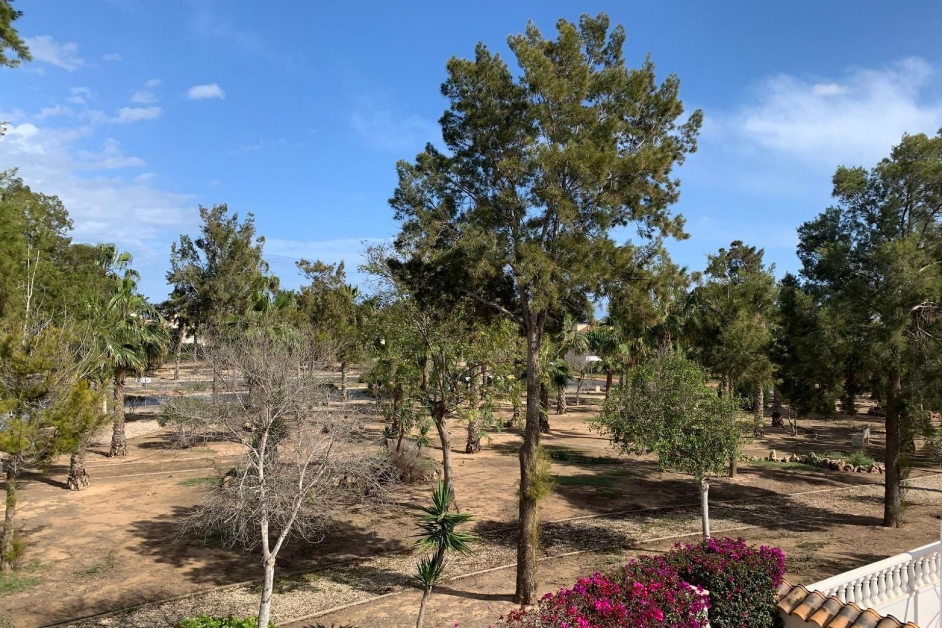 Reventa - Detached villa -
Guardamar del Segura - El Raso