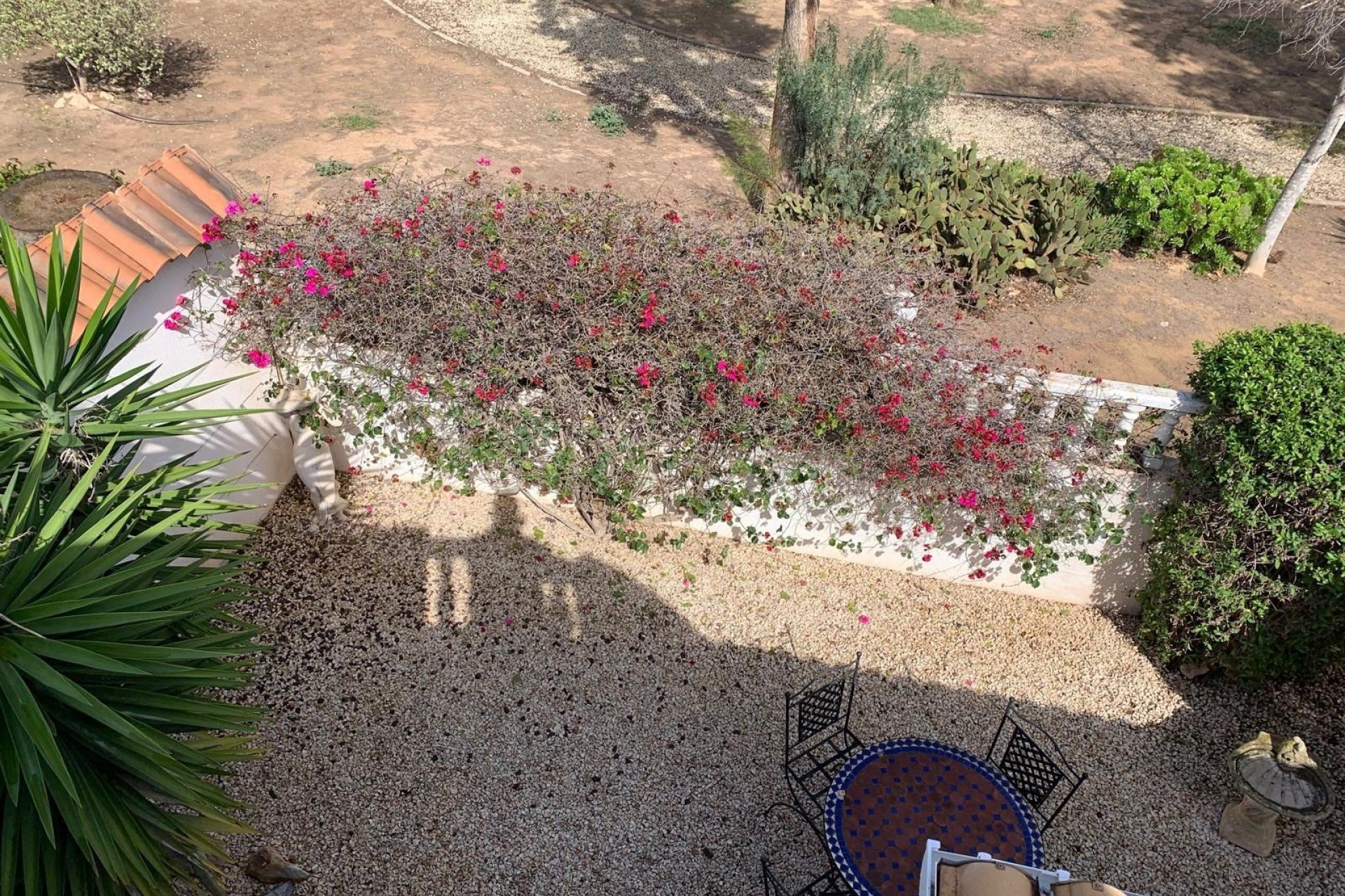 Reventa - Detached villa -
Guardamar del Segura - El Raso