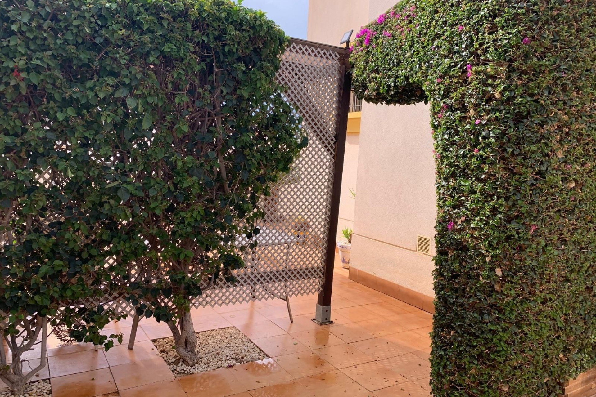 Reventa - Detached villa -
Guardamar del Segura - El Raso