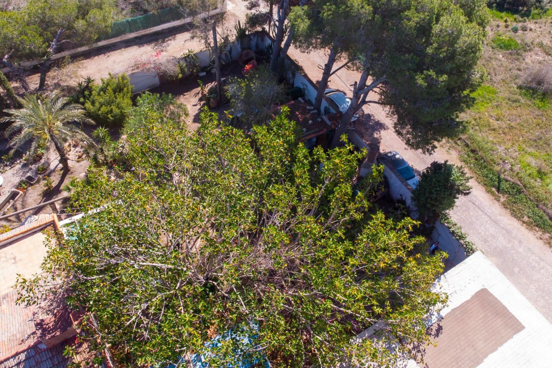 Reventa - Detached villa -
Orihuela Costa - Lomas de Cabo Roig