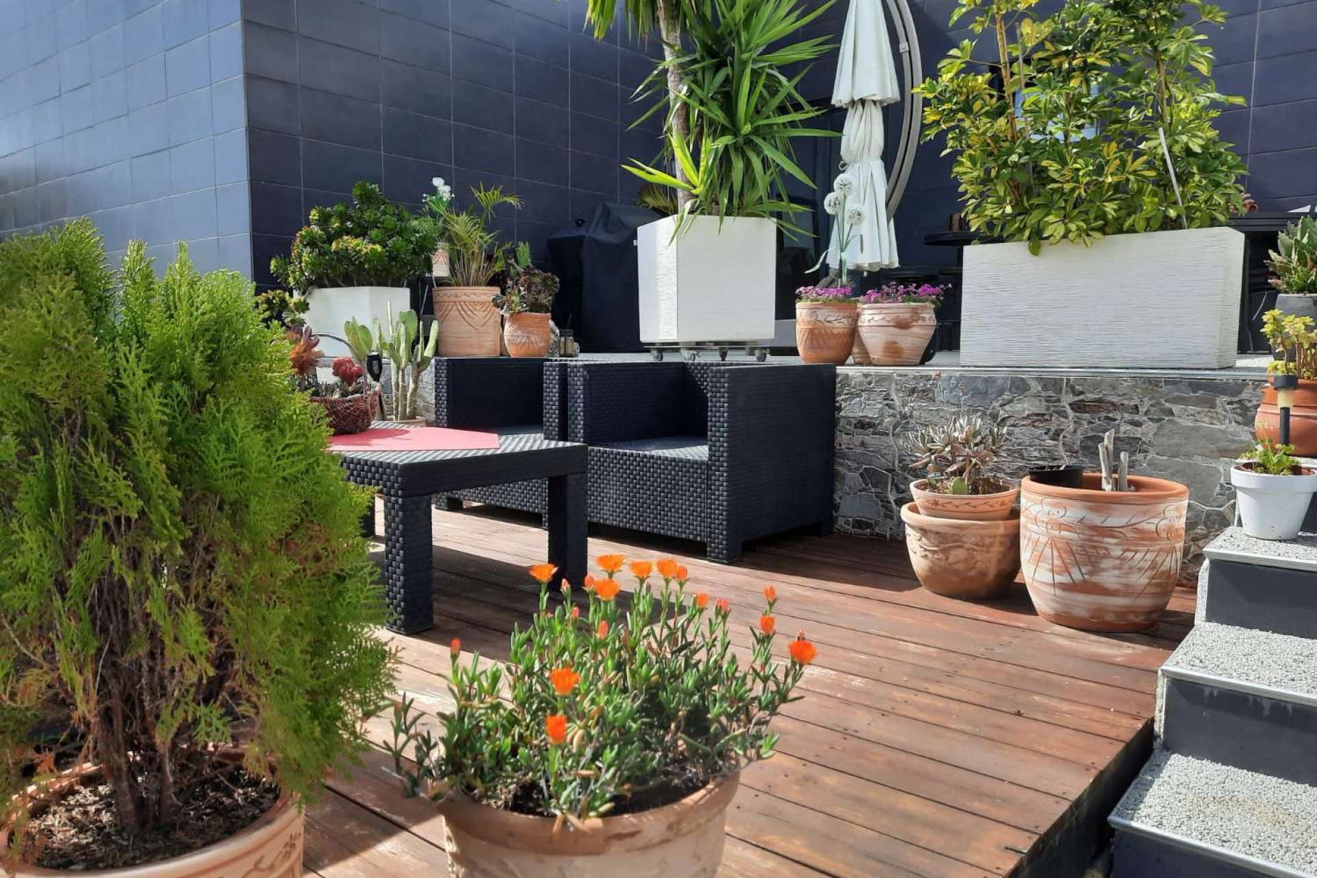 Reventa - Detached villa -
Orihuela - Orihuela Costa