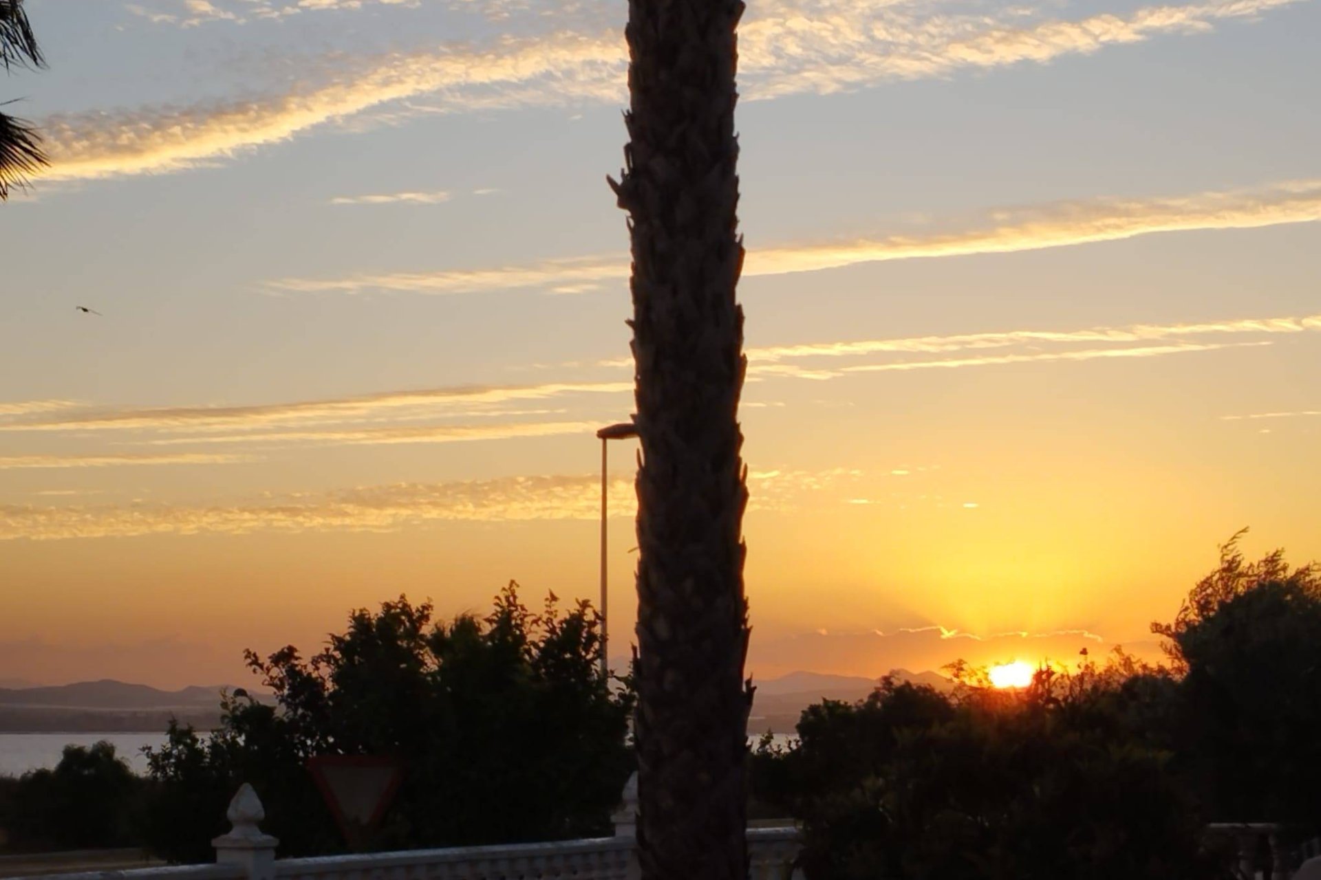Reventa - Detached villa -
Torrevieja - La Siesta - El Salado - Torreta