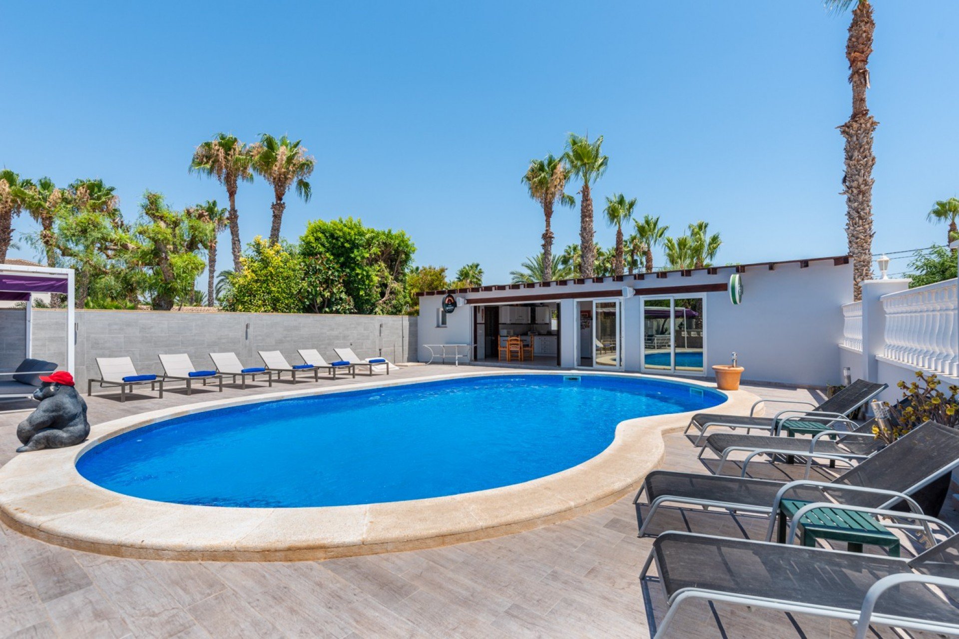 Reventa - Finca -
Catral