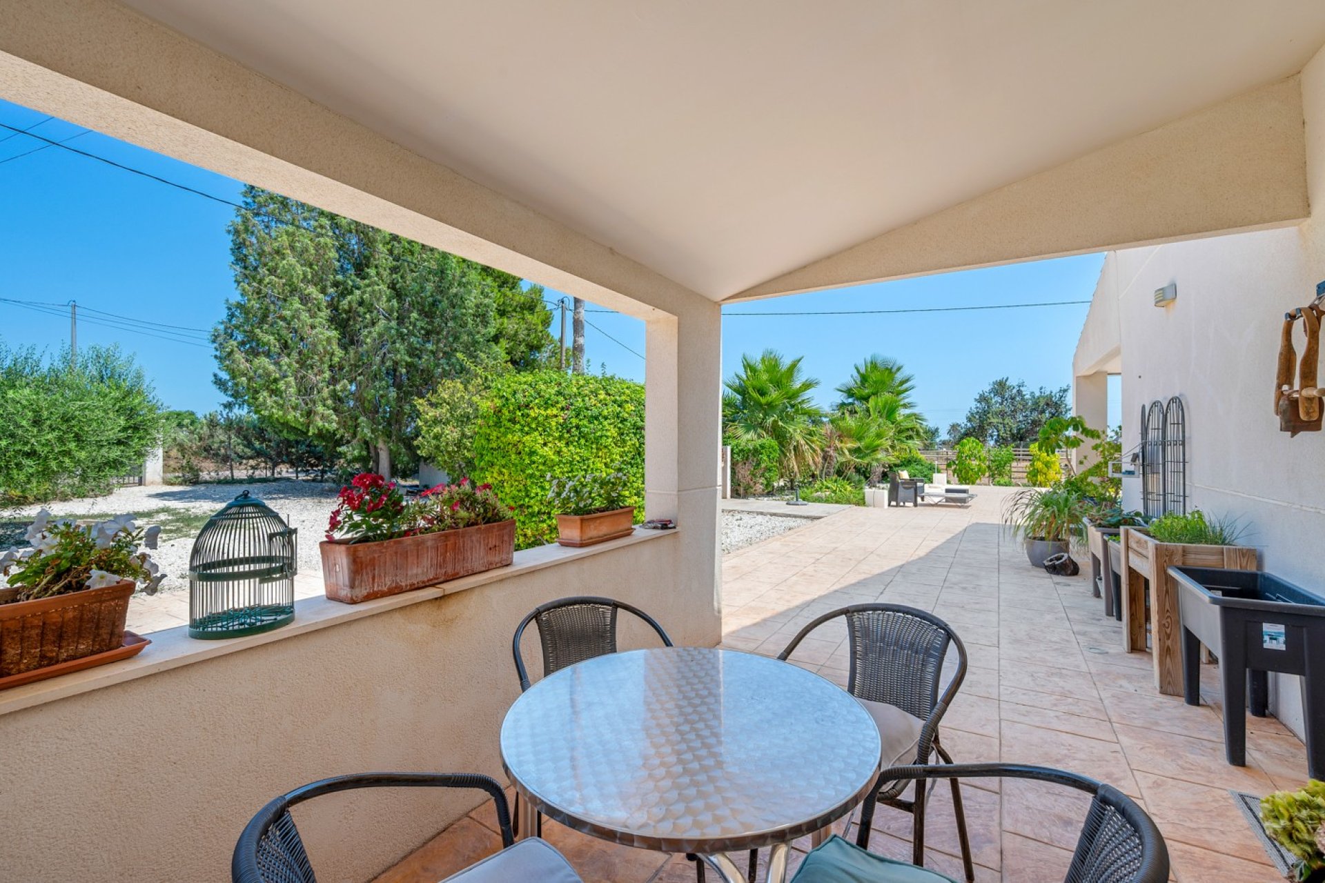 Reventa - Finca -
Elche - Elche/Elx