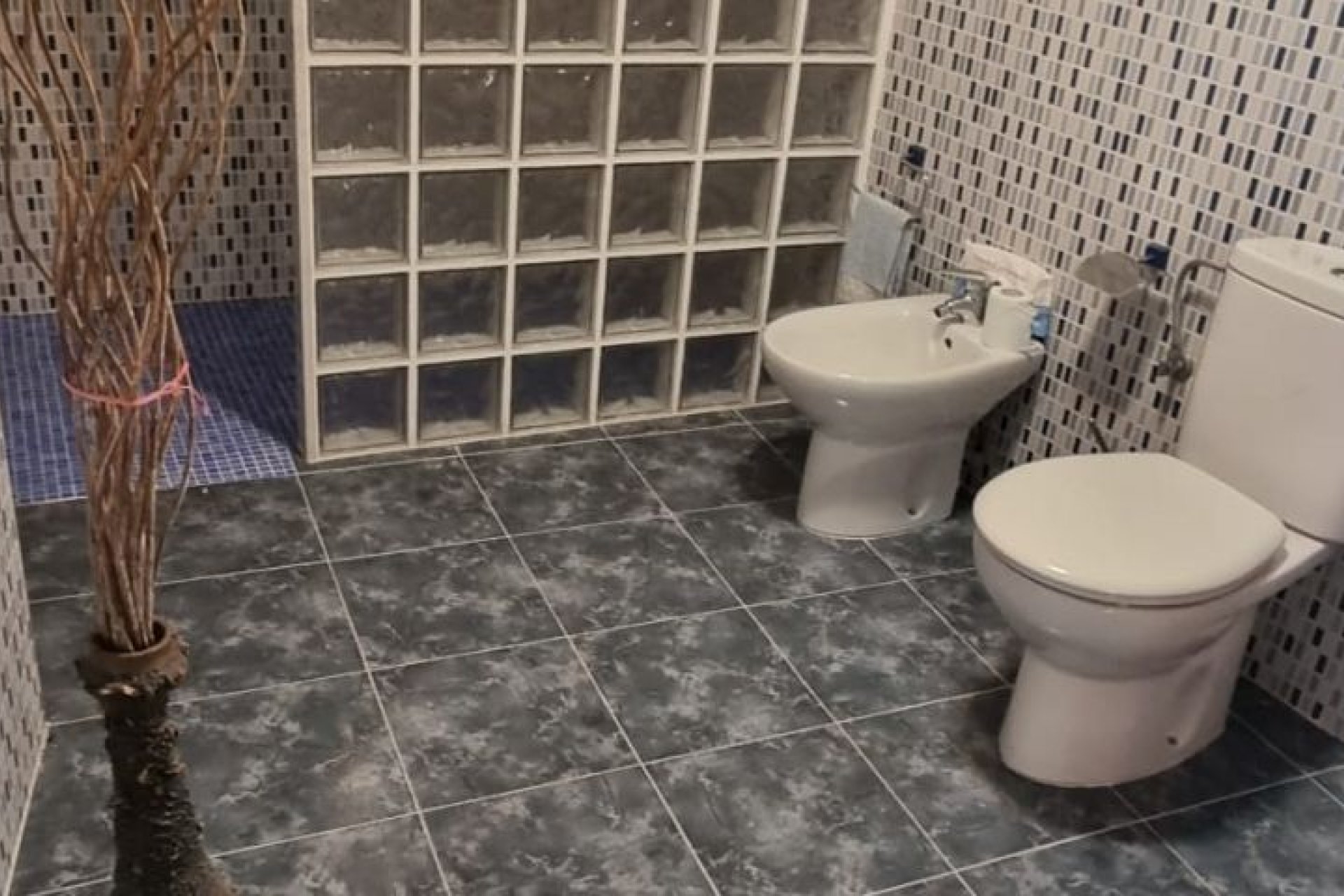 Reventa - Finca -
Hondón de las Nieves