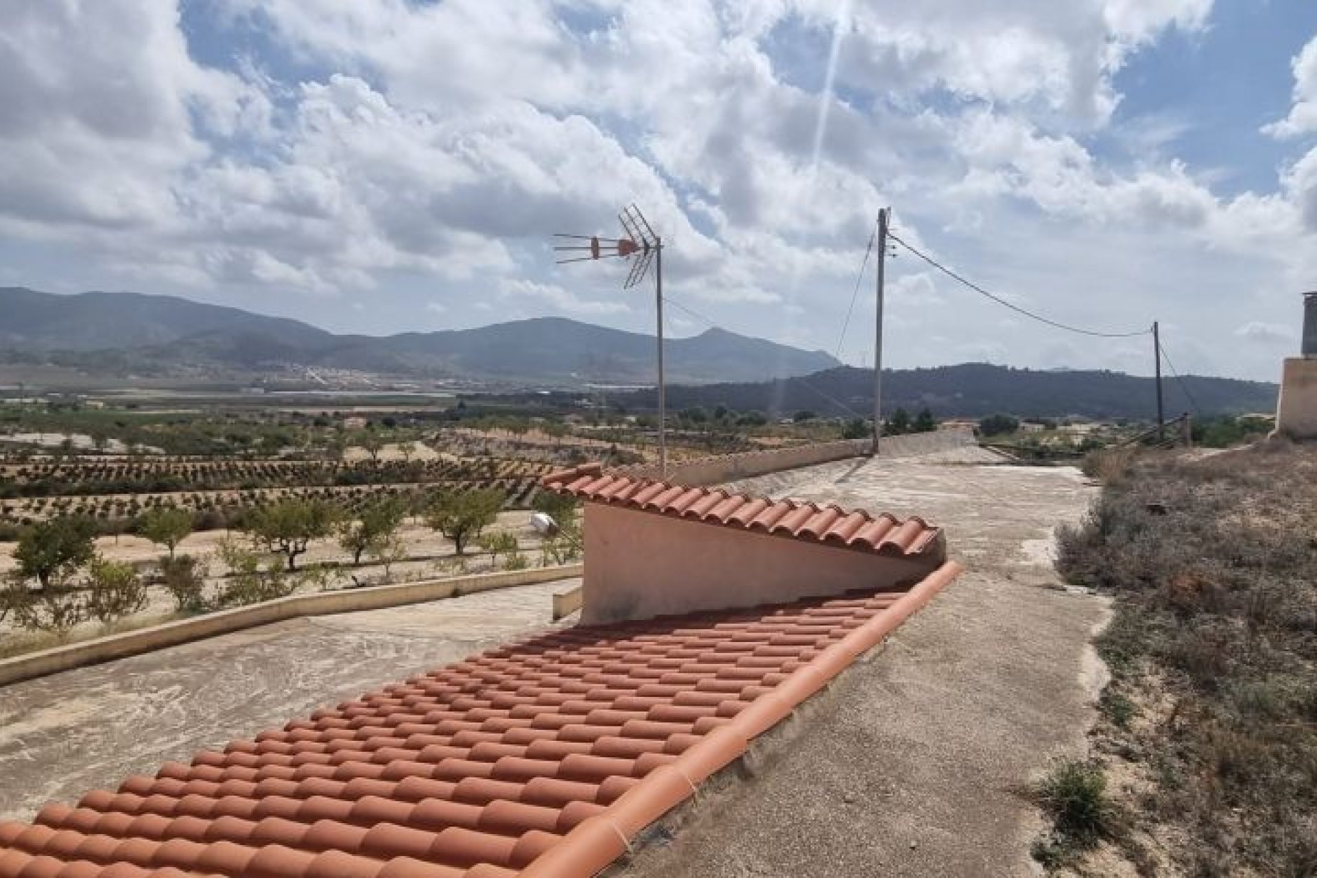 Reventa - Finca -
Hondón de las Nieves