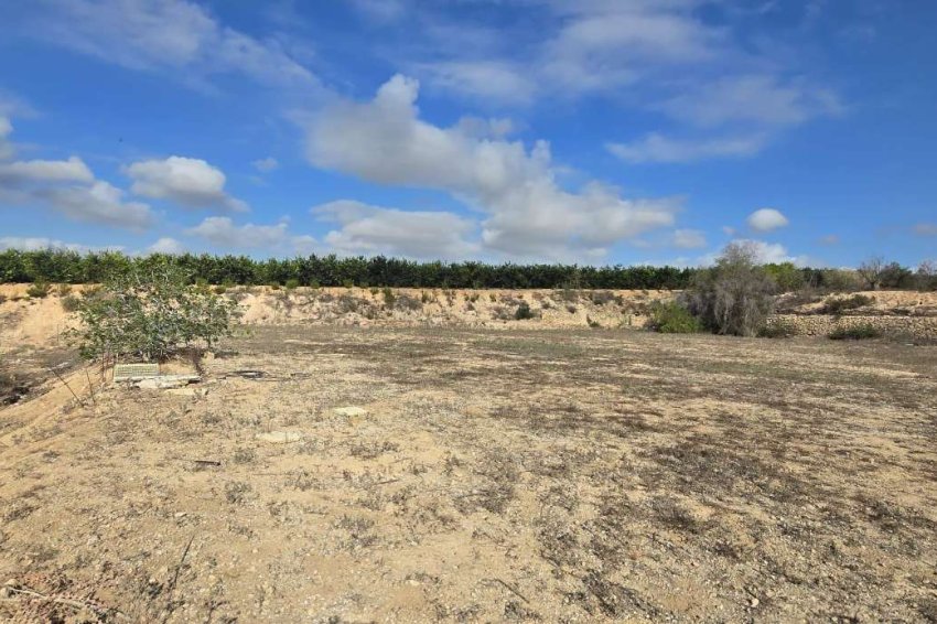 Reventa - Finca -
Los Montesinos