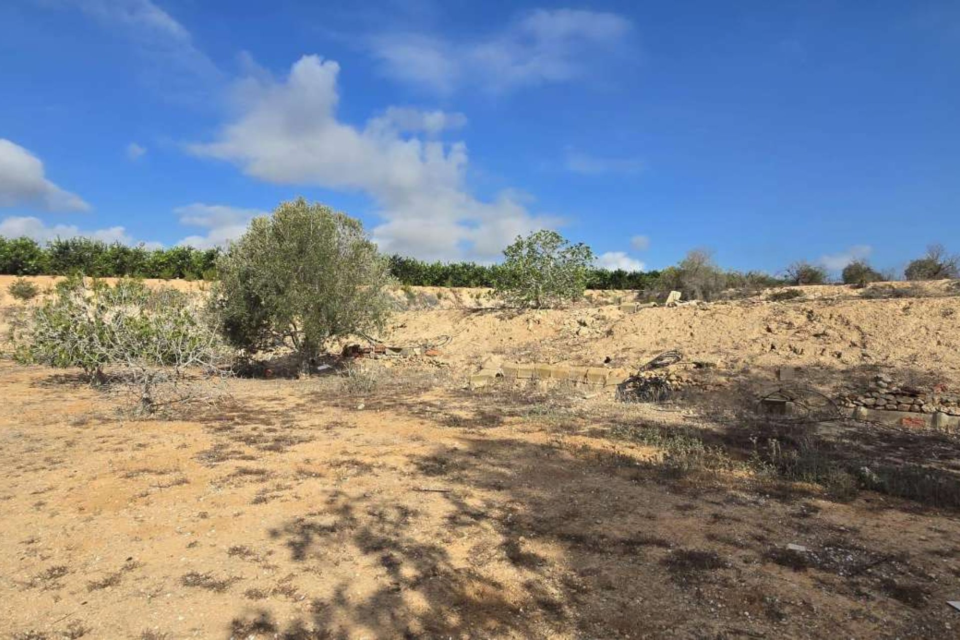 Reventa - Finca -
Los Montesinos