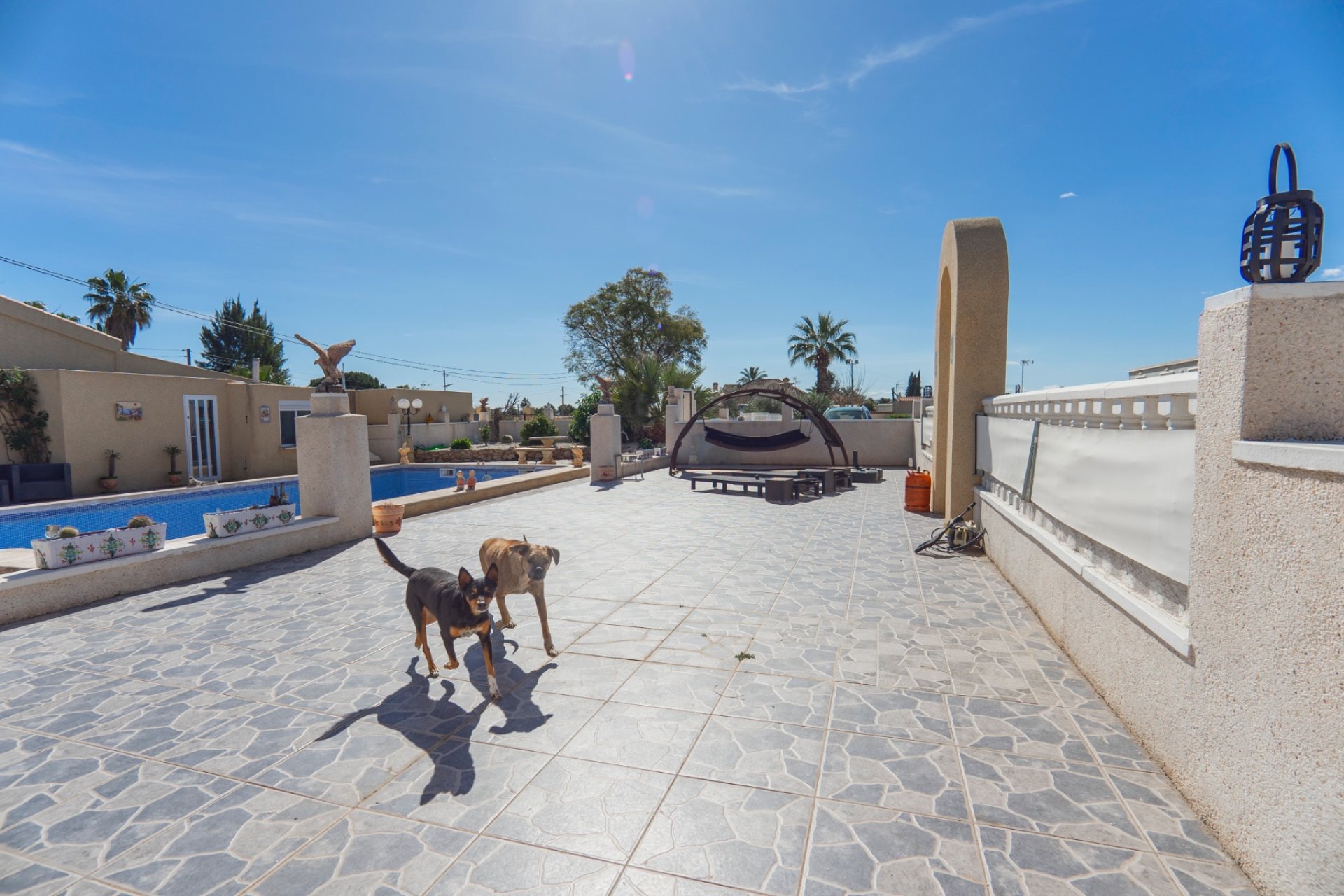 Reventa - Finca -
Los Montesinos