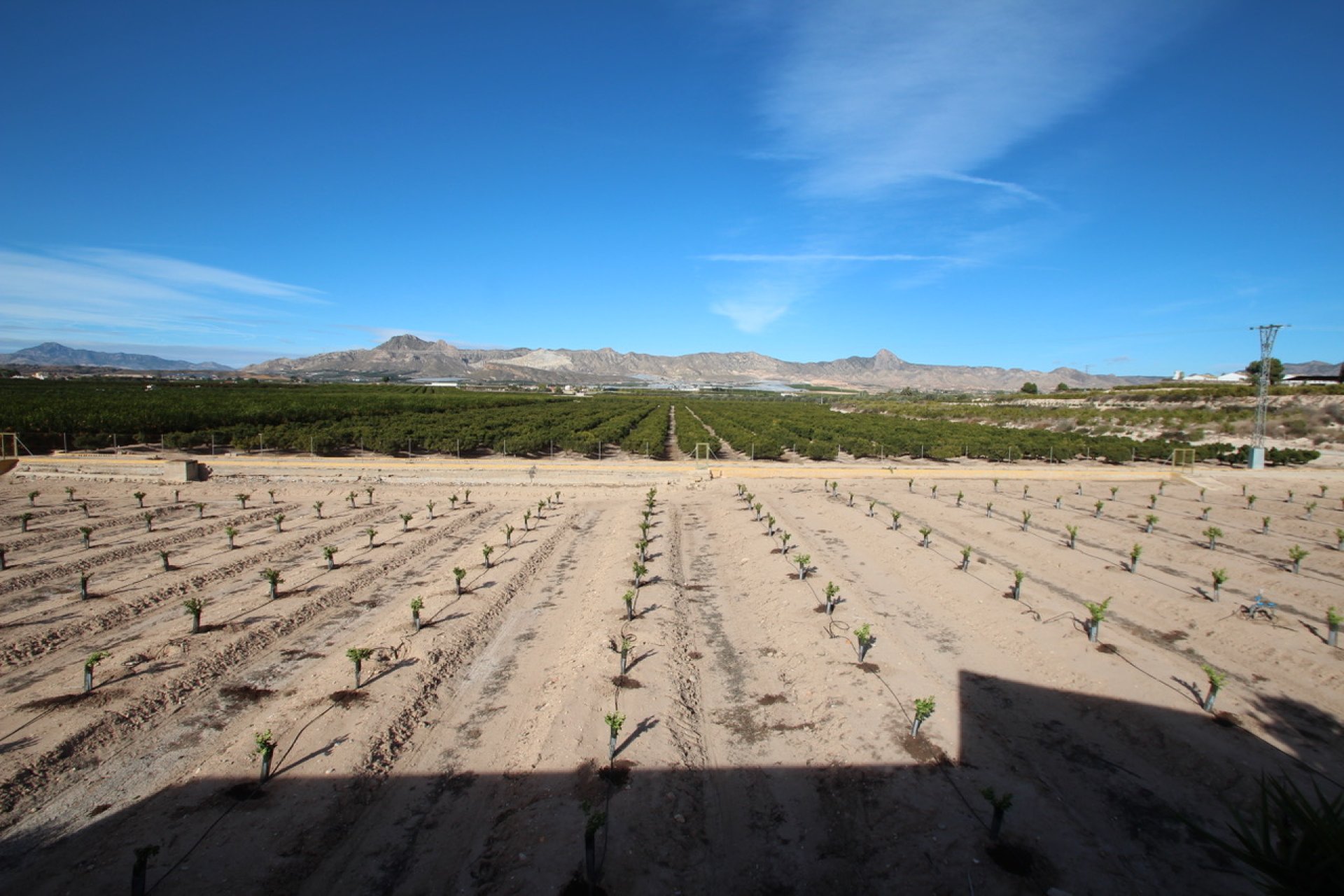 Reventa - Finca -
Murcia - Costa Blanca Sur
