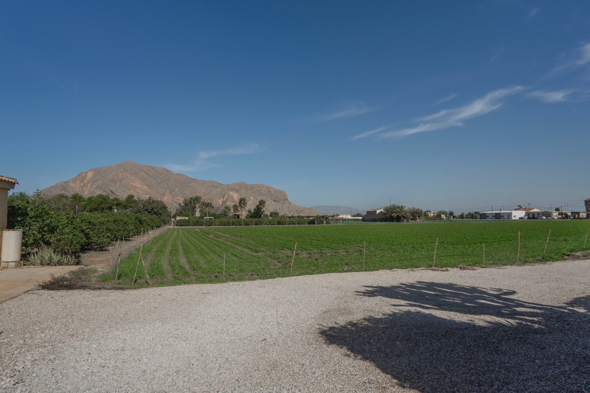 Reventa - Finca -
Orihuela - San Bartolome