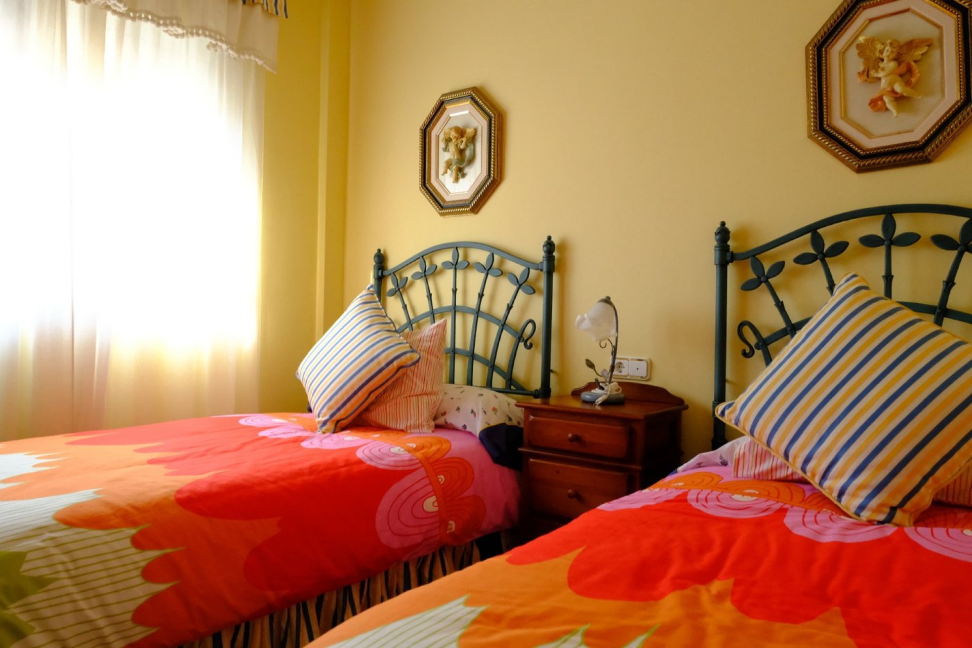 Reventa - Finca -
Orihuela