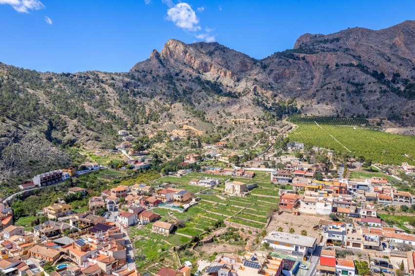 Reventa - Finca -
Orihuela