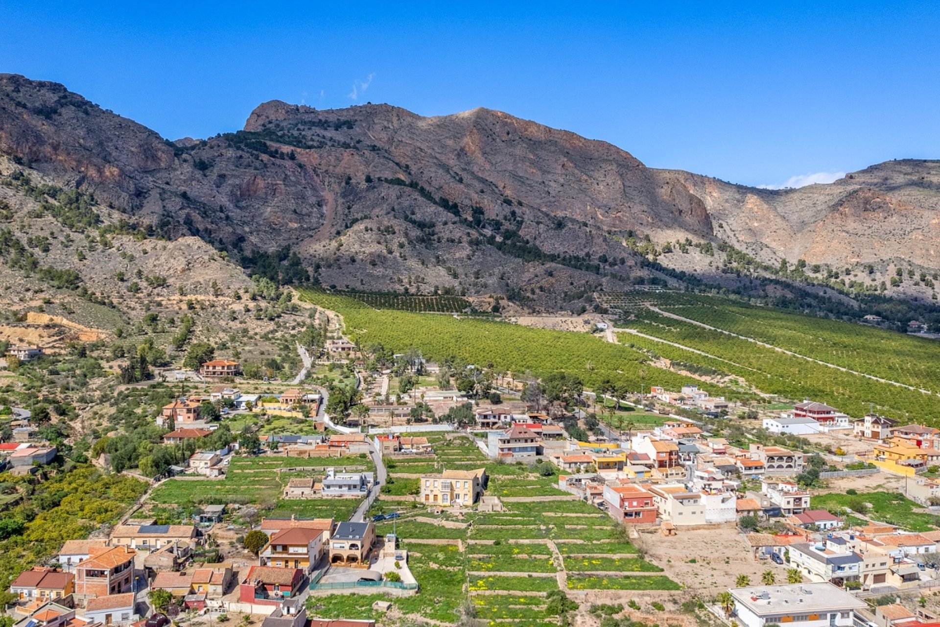 Reventa - Finca -
Orihuela