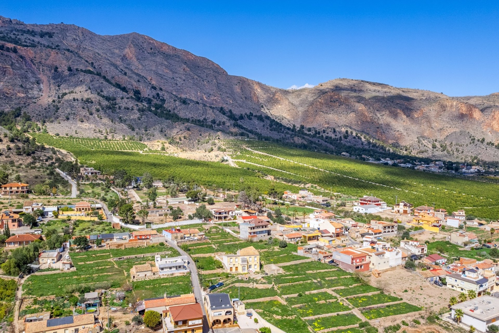 Reventa - Finca -
Orihuela