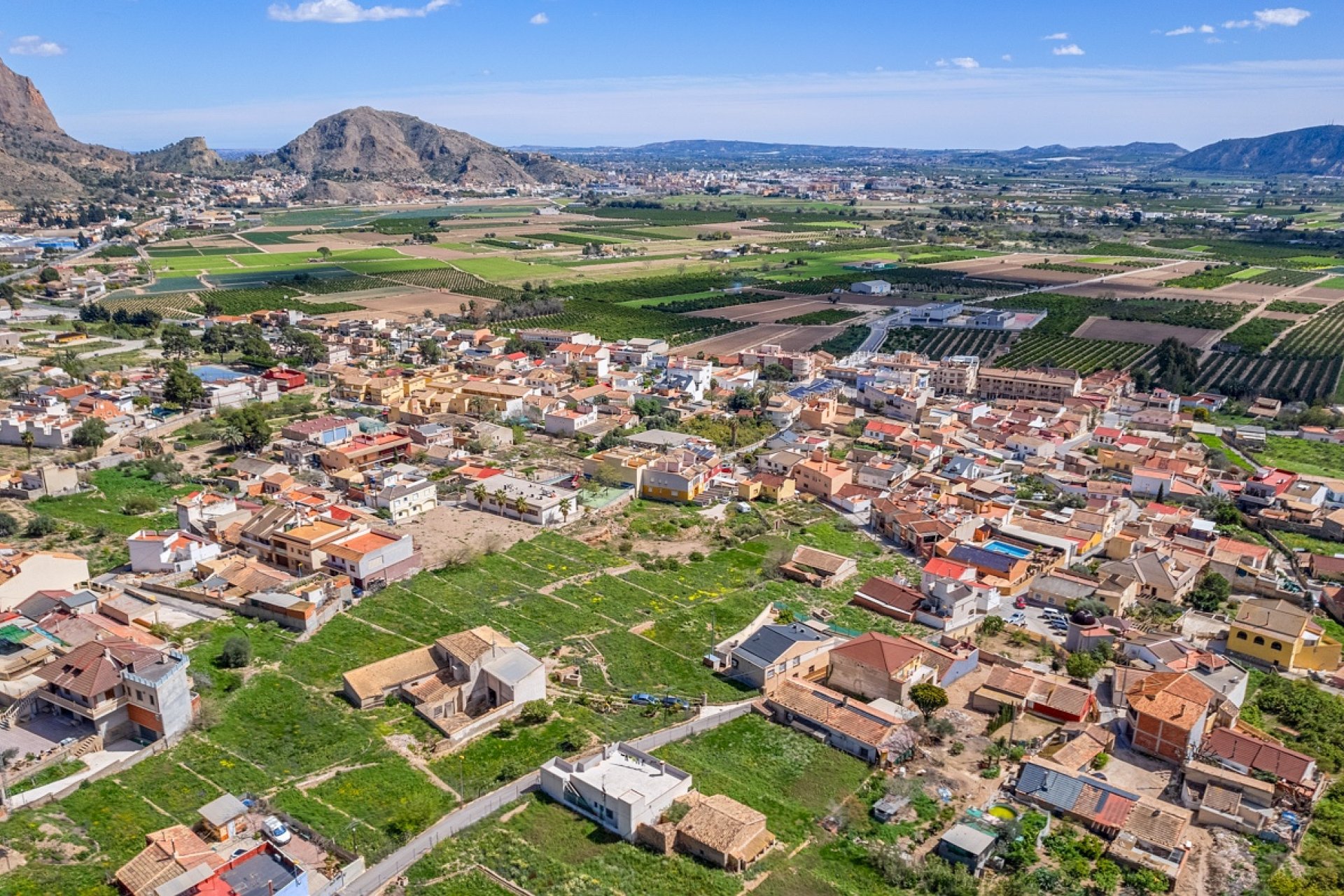 Reventa - Finca -
Orihuela