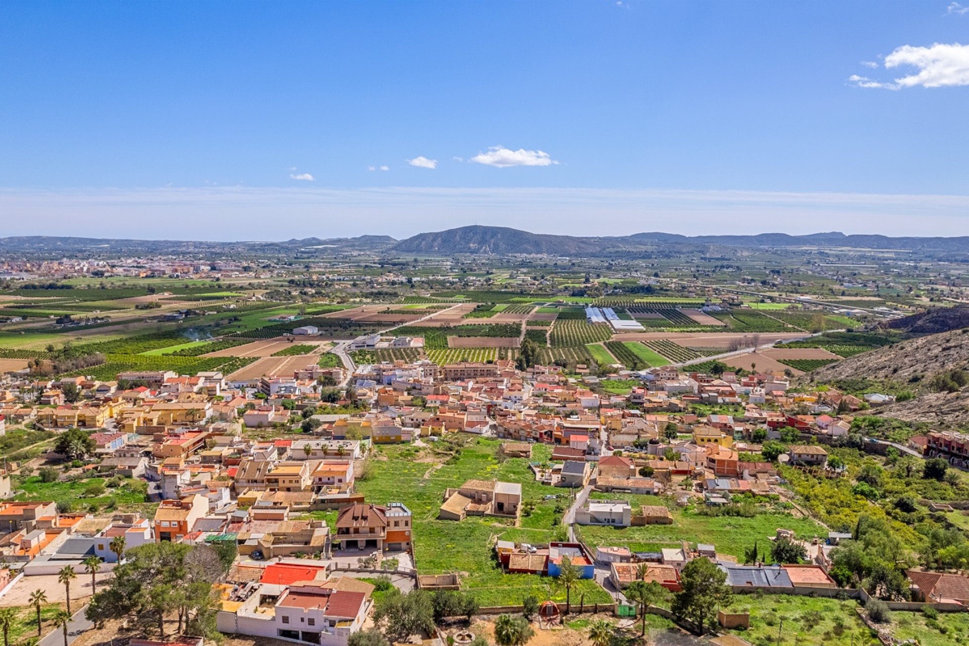 Reventa - Finca -
Orihuela