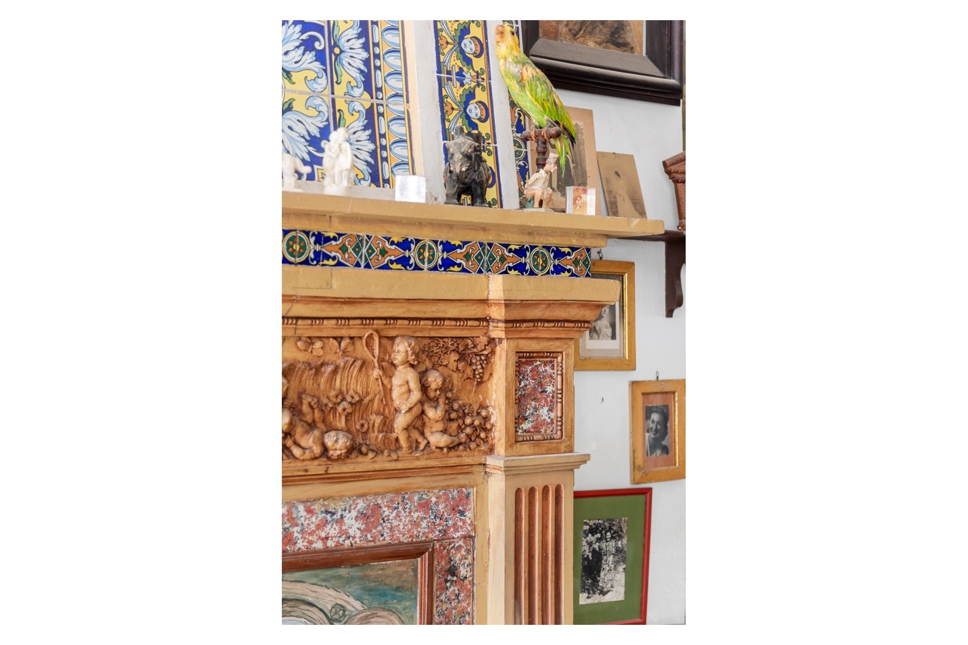 Reventa - Finca -
Orihuela