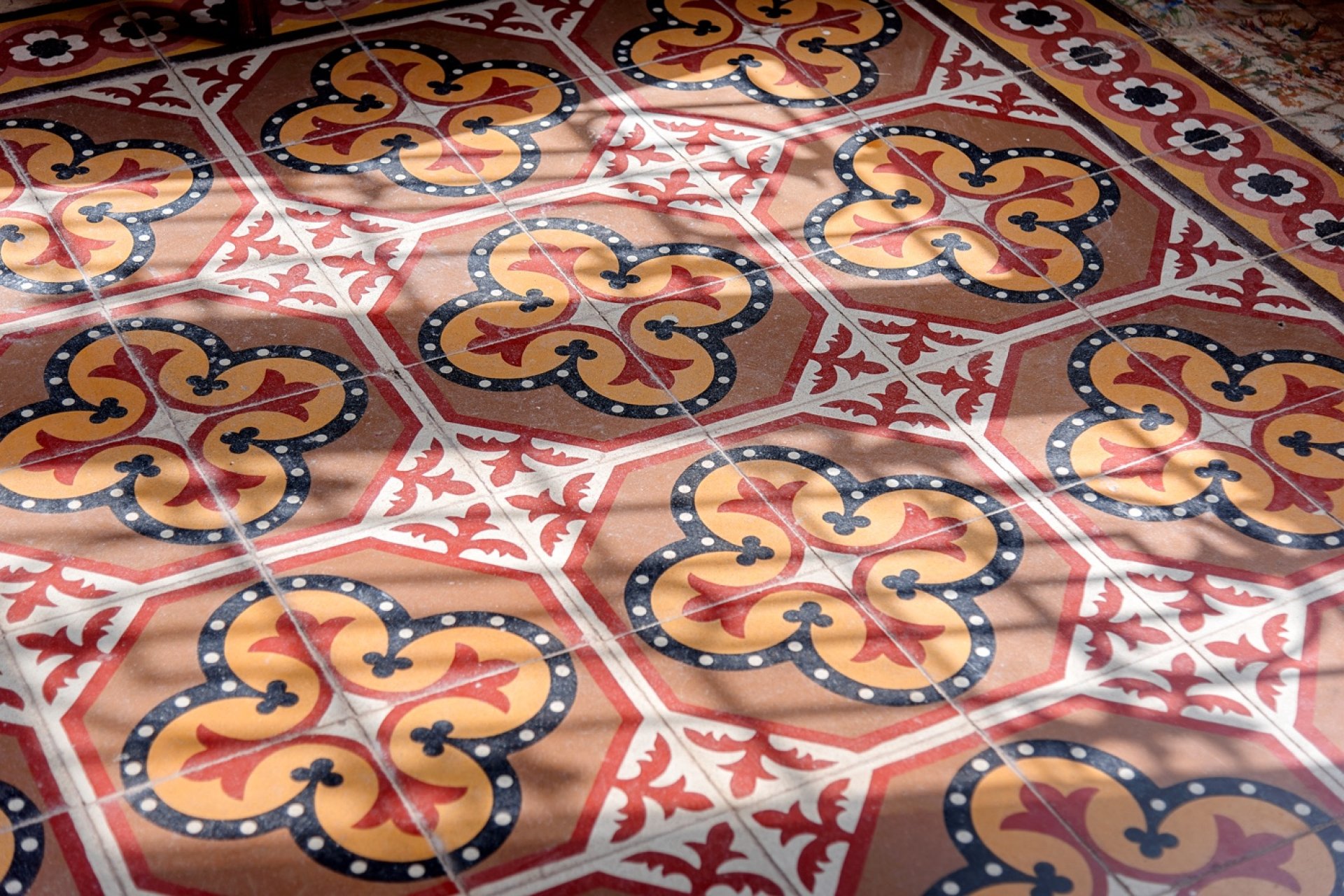 Reventa - Finca -
Orihuela