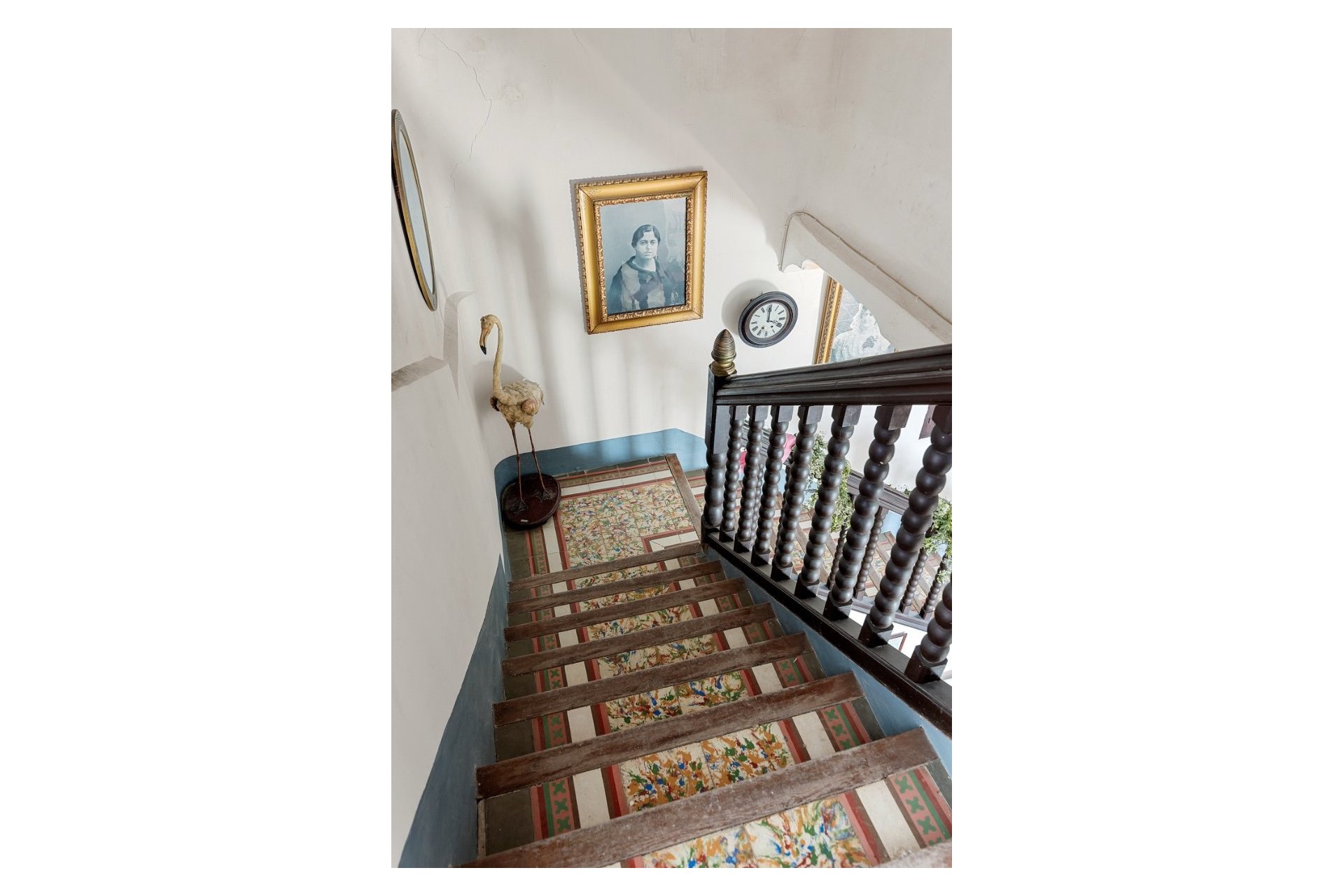 Reventa - Finca -
Orihuela