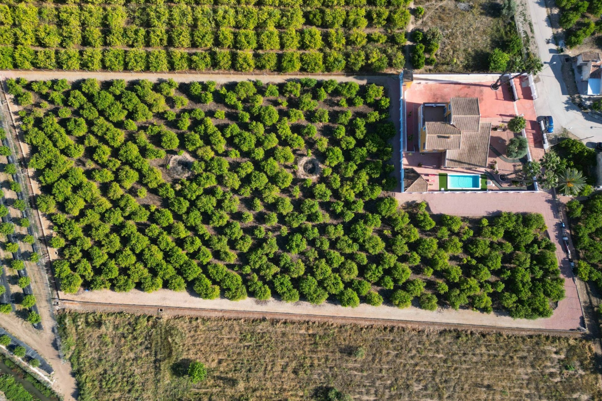 Reventa - Finca -
Orihuela