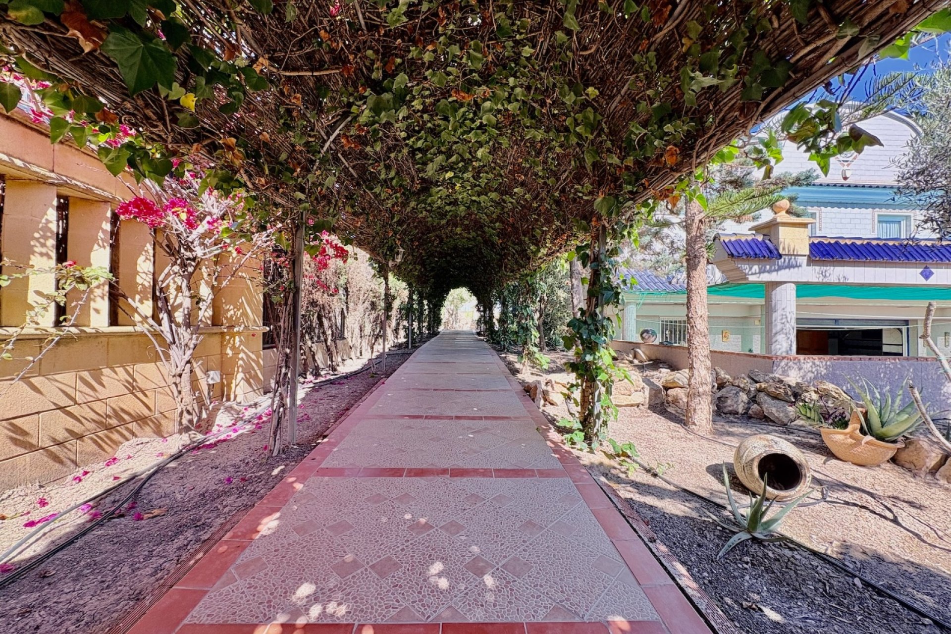 Reventa - Finca -
San Fulgencio - La Marina