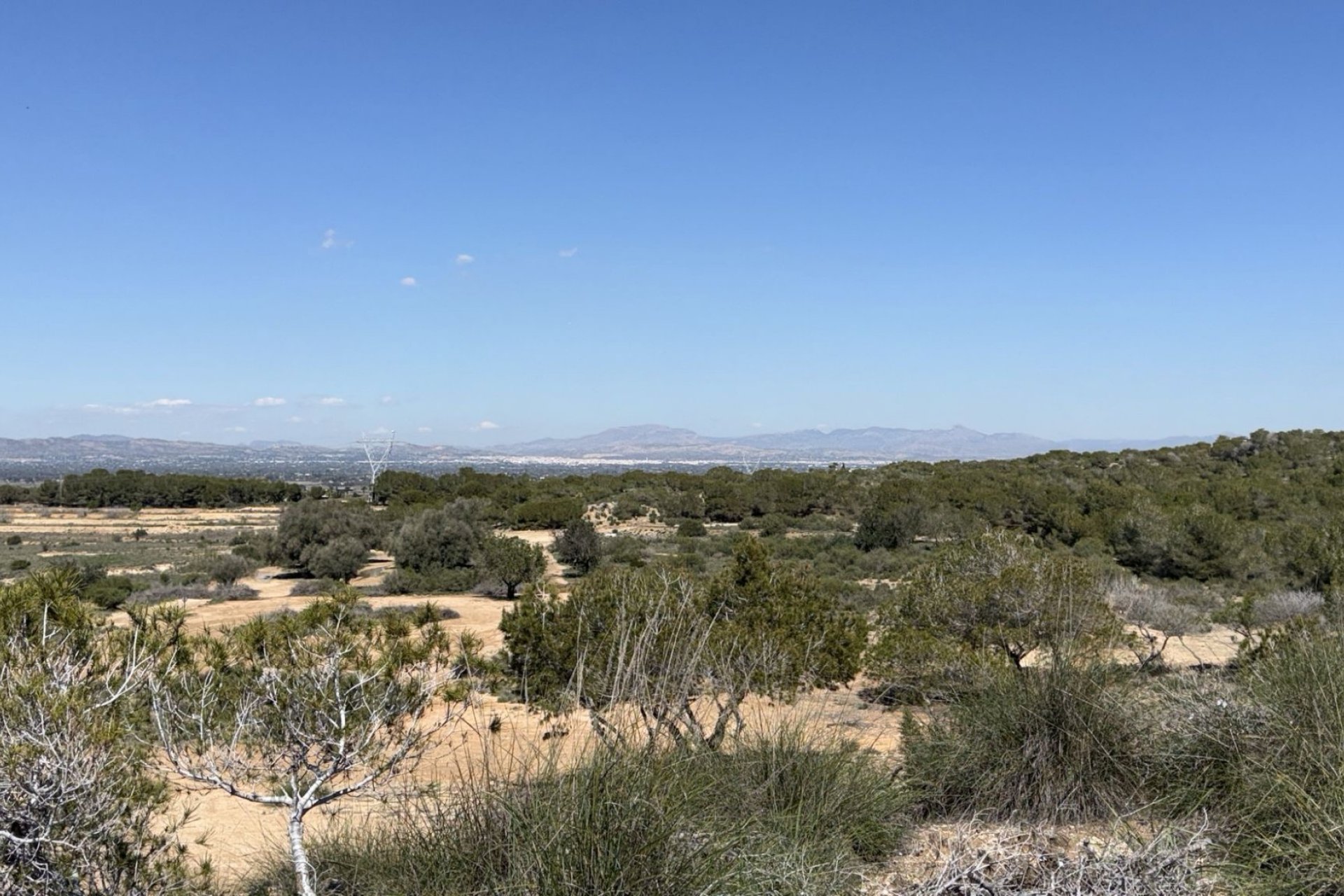Reventa - Land and Plots -
San Fulgencio - La Marina