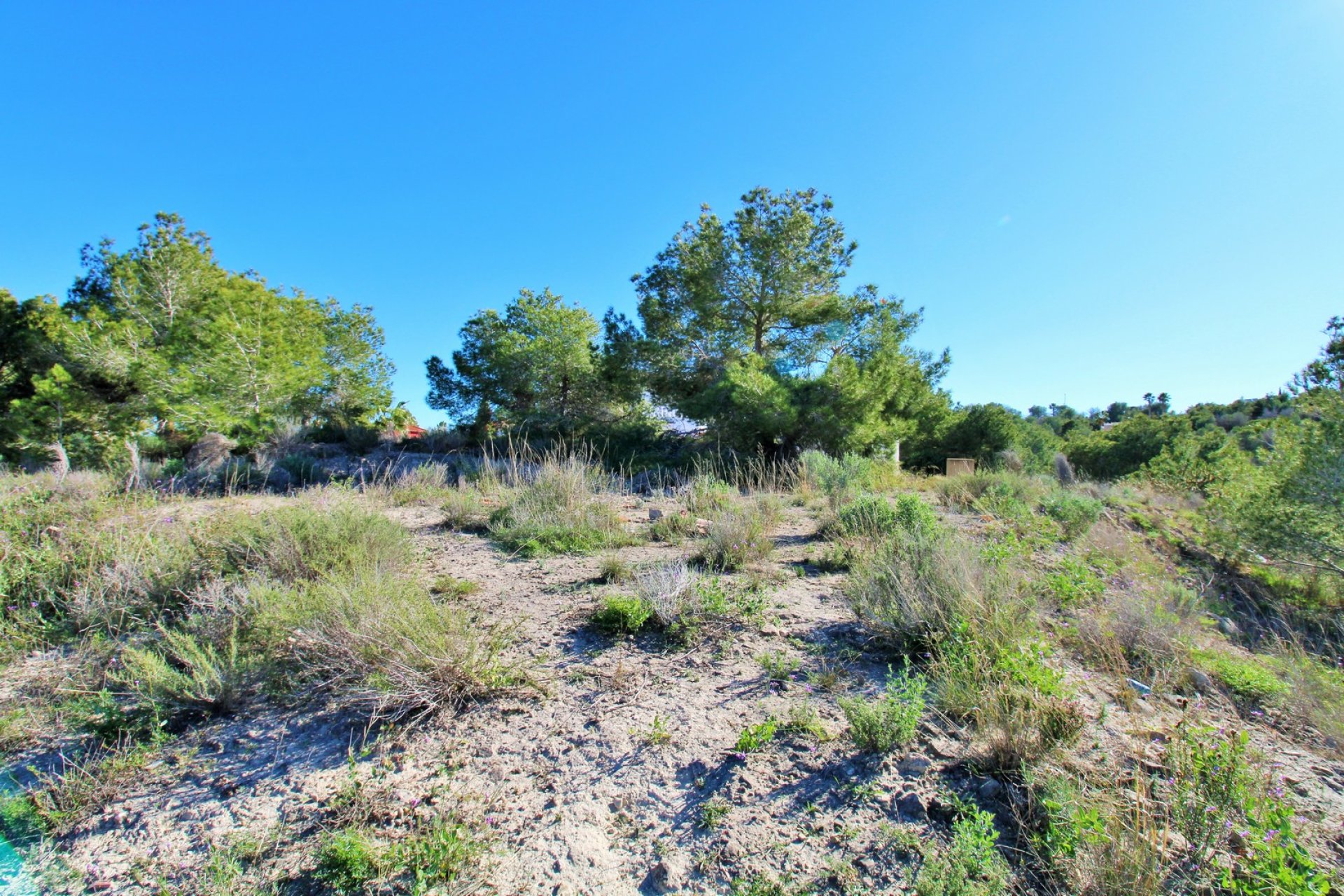 Reventa - Land -
San Miguel - San Miguel de Salinas