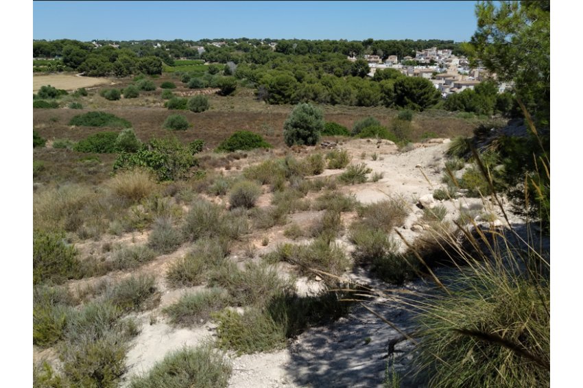Reventa - Parcela / Terreno -
Pinar de Campoverde