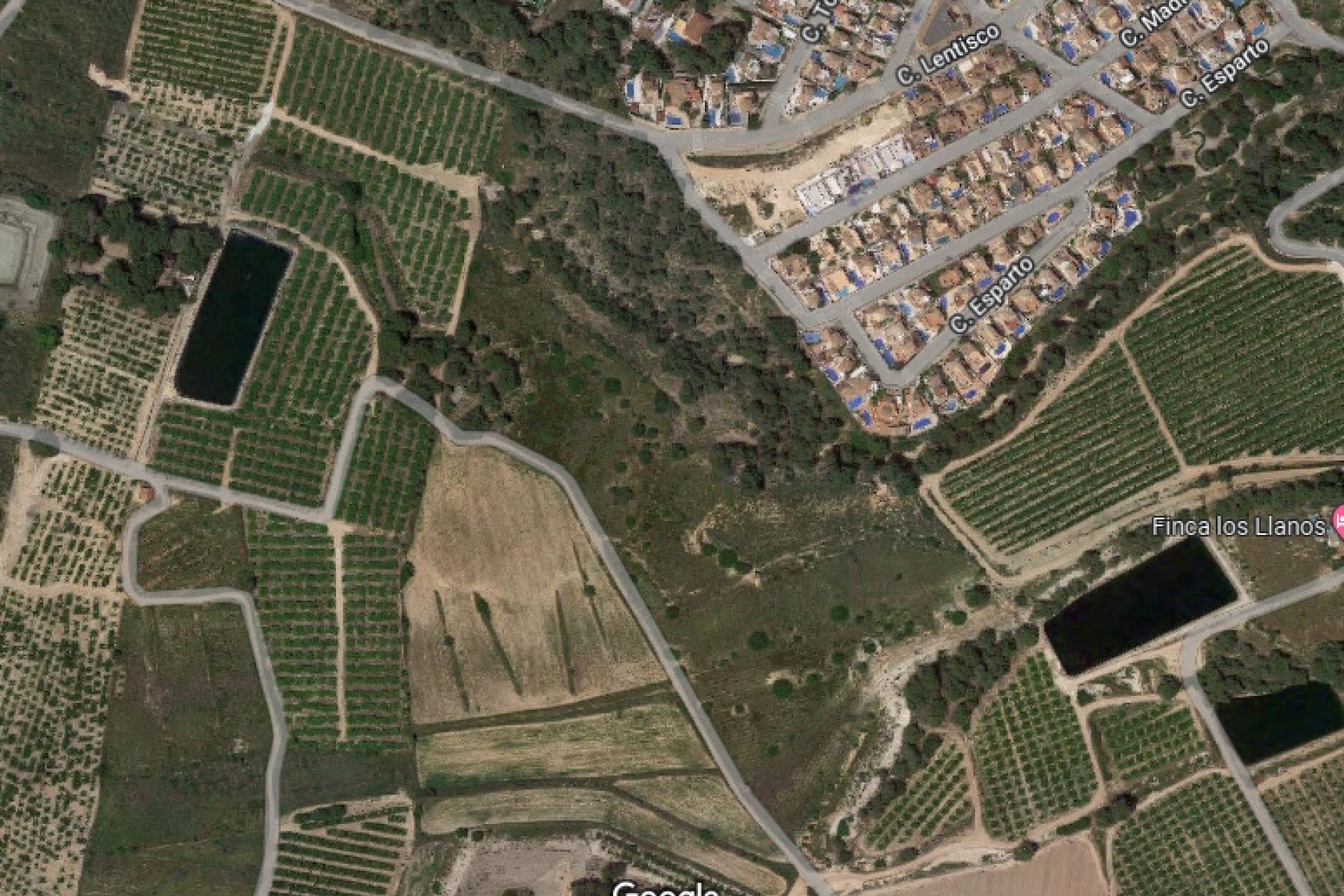 Reventa - Parcela / Terreno -
Pinar de Campoverde