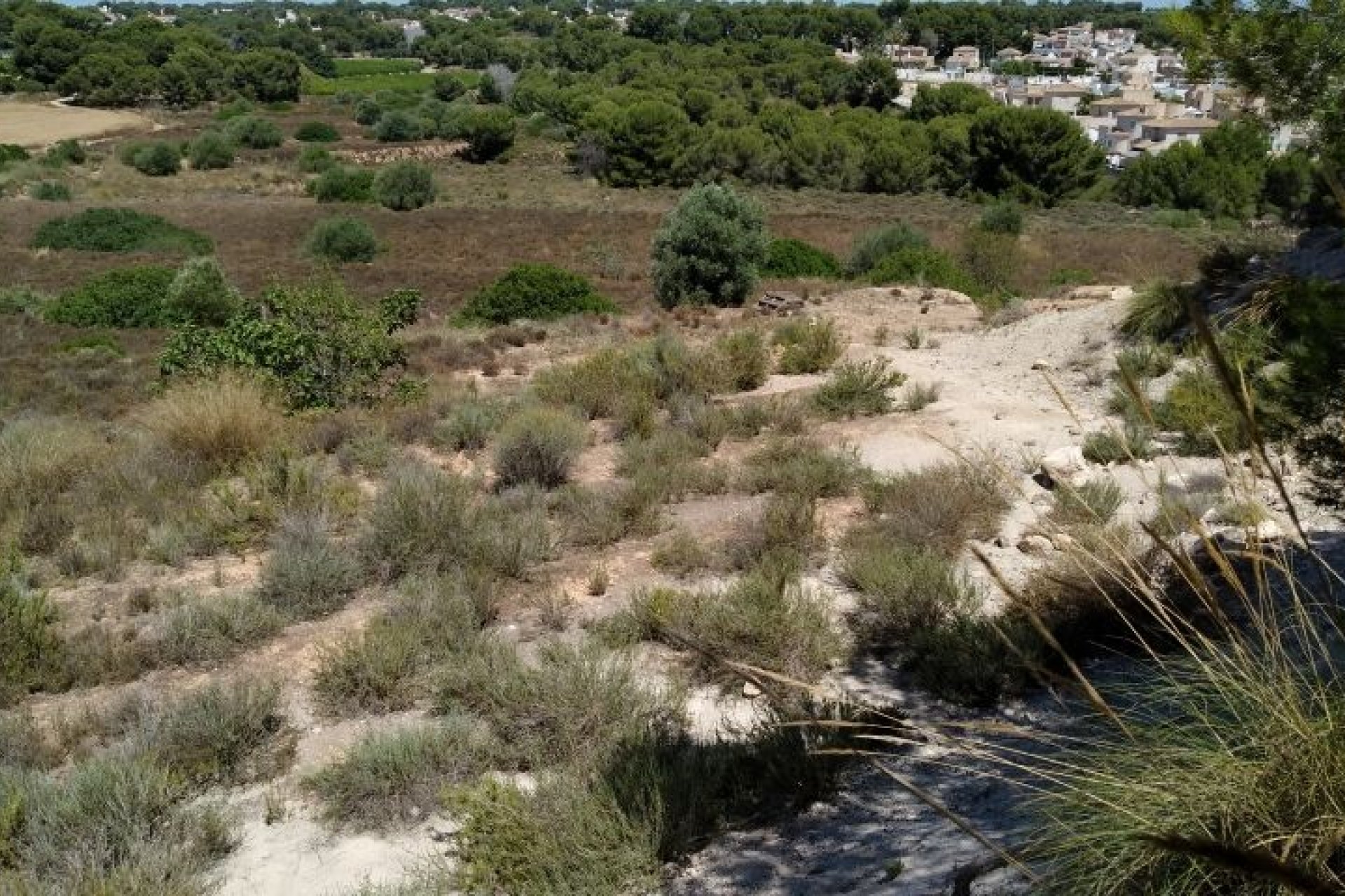 Reventa - Parcela / Terreno -
Pinar de Campoverde
